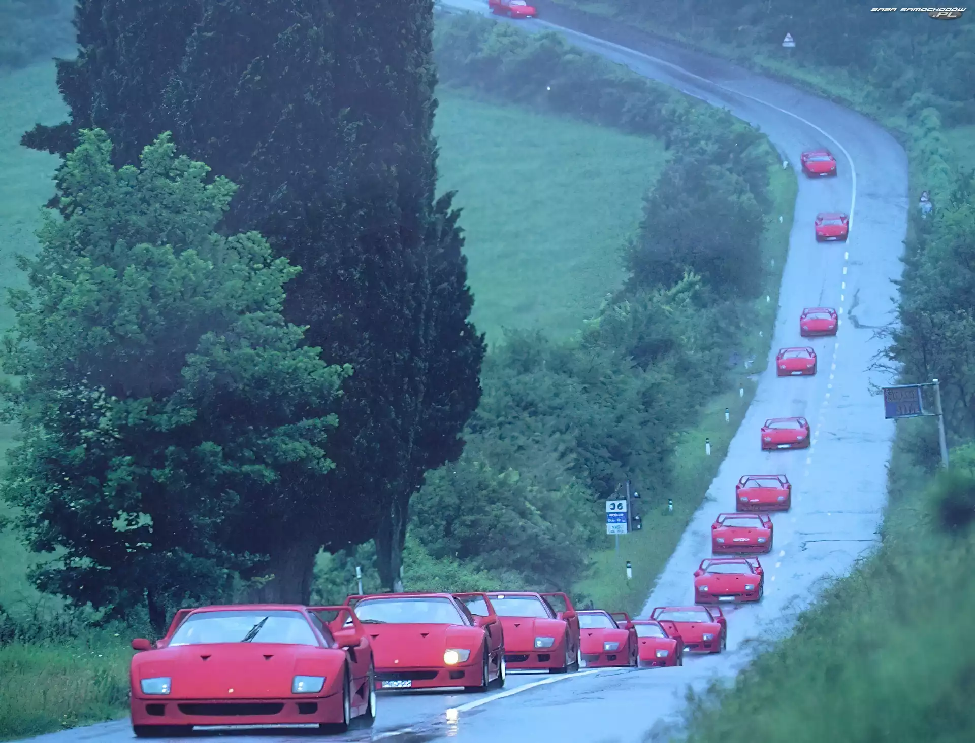 Droga, Zlot, Ferrari F 40