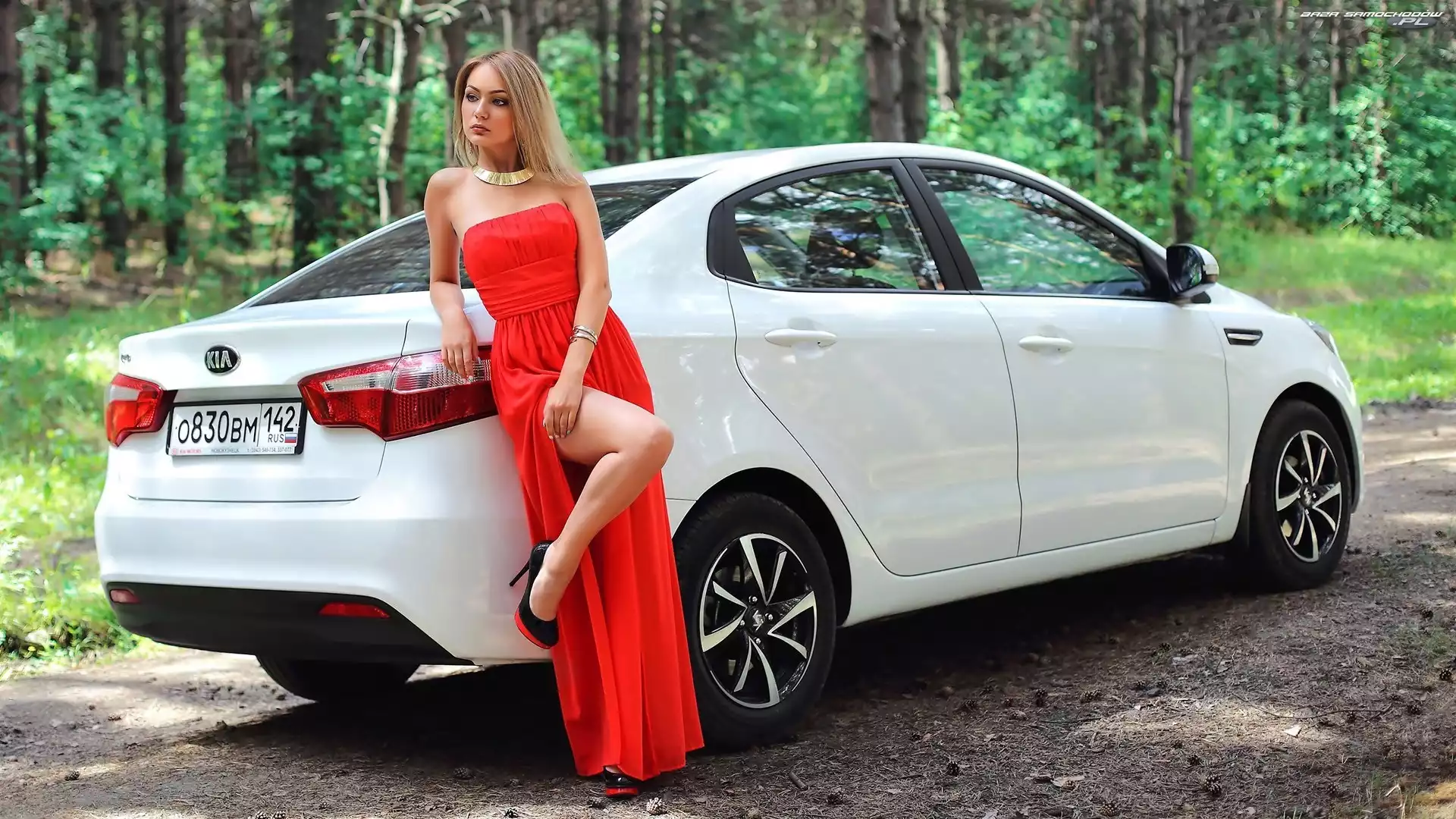 Droga, Las, Biała, Kobieta, Kia Rio