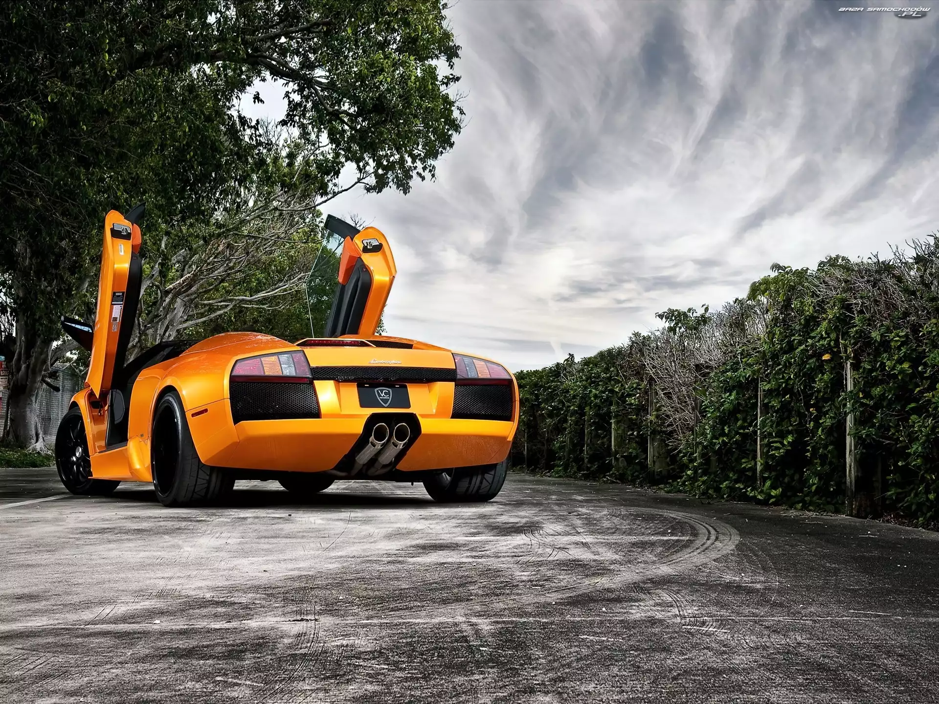 Lamborghini, Droga, Drzewa