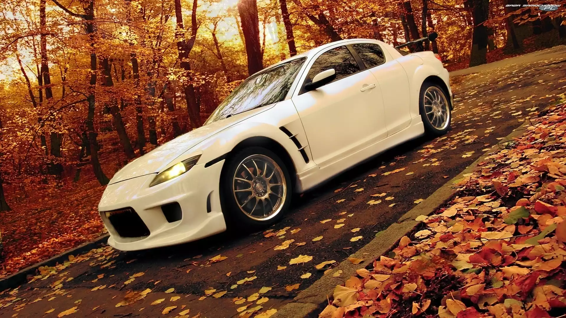 Droga, Las, RX-8, Mazda, Jesień