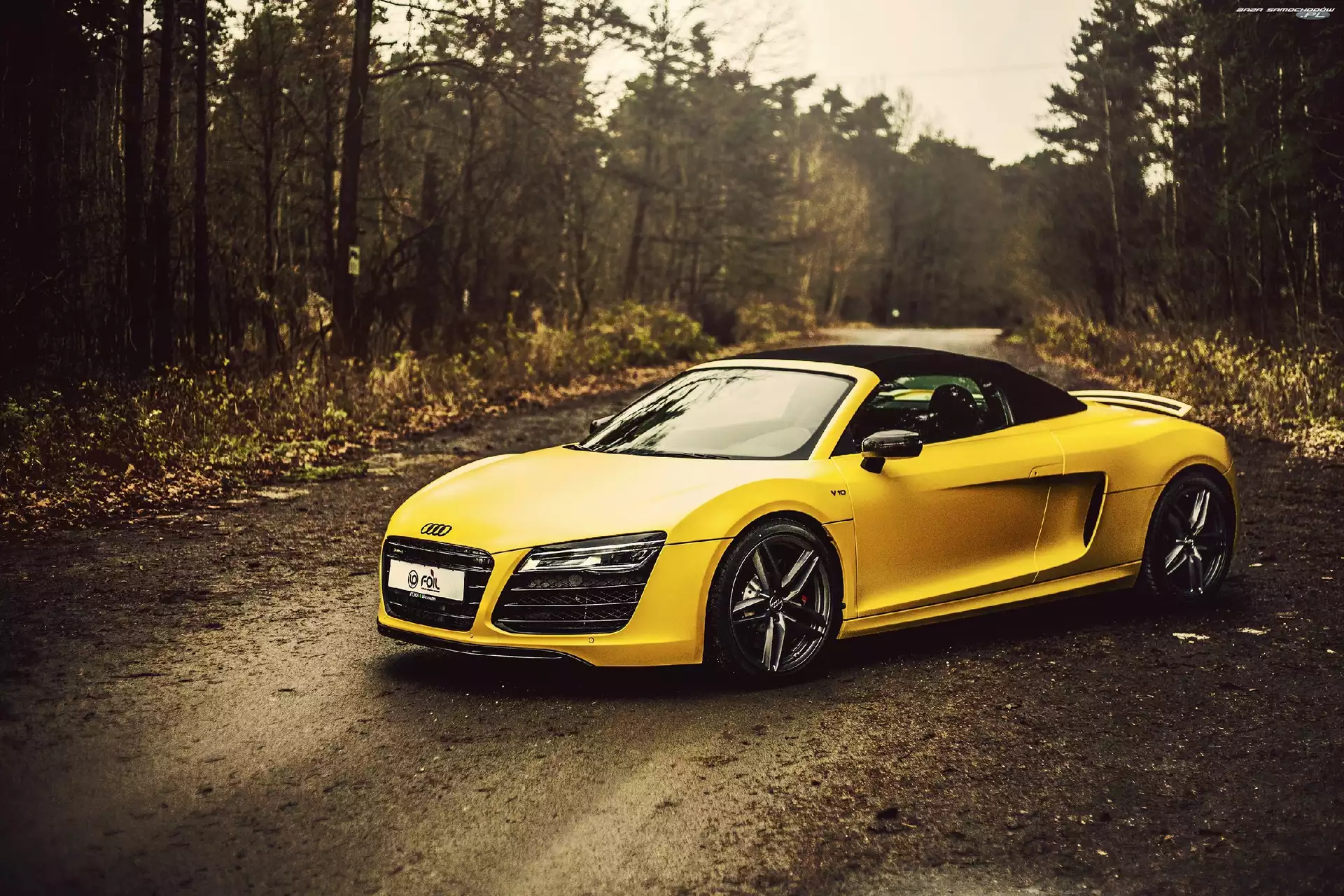 Droga, Audi R8, Las