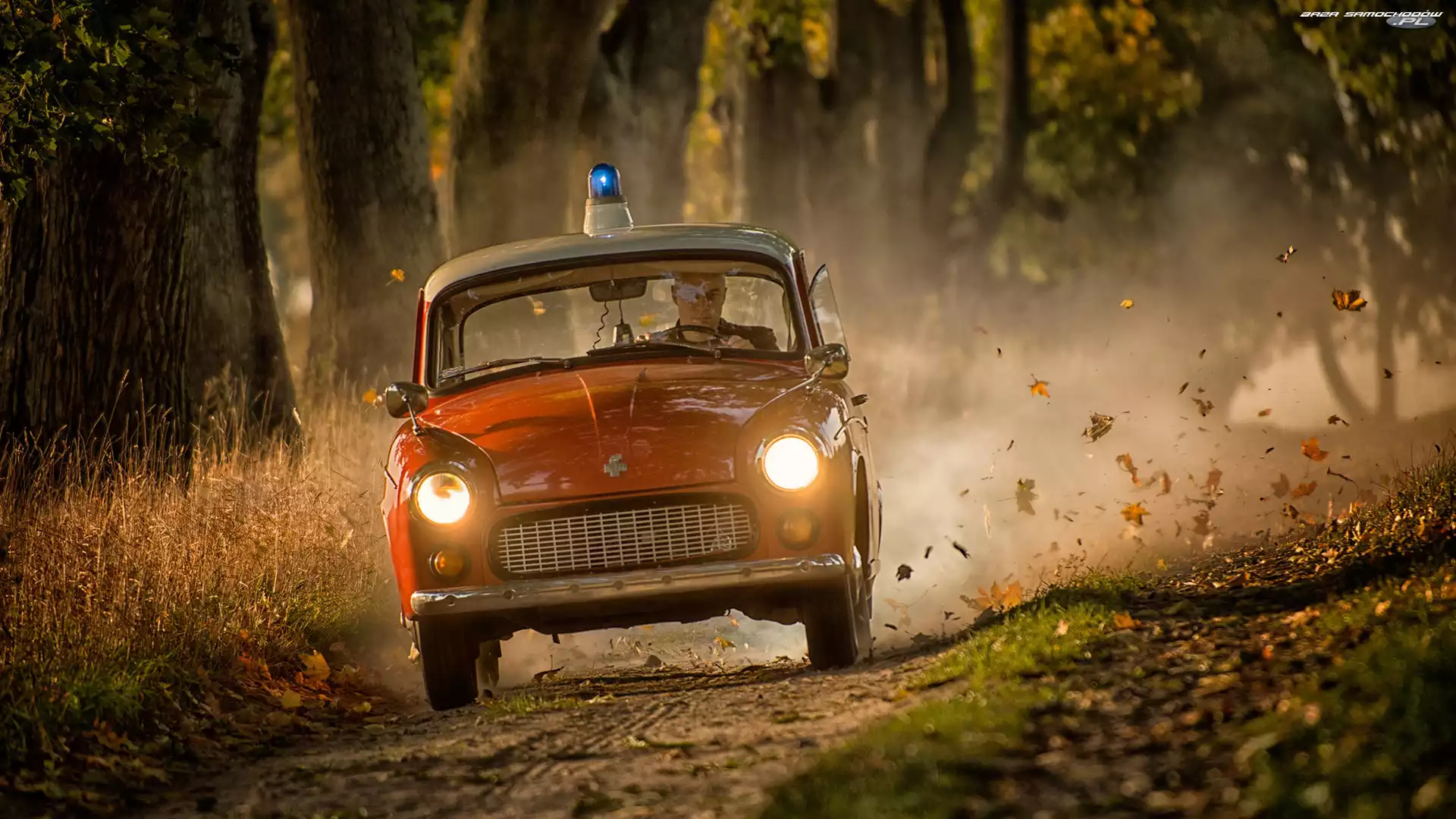 Syrena, Droga, Liście