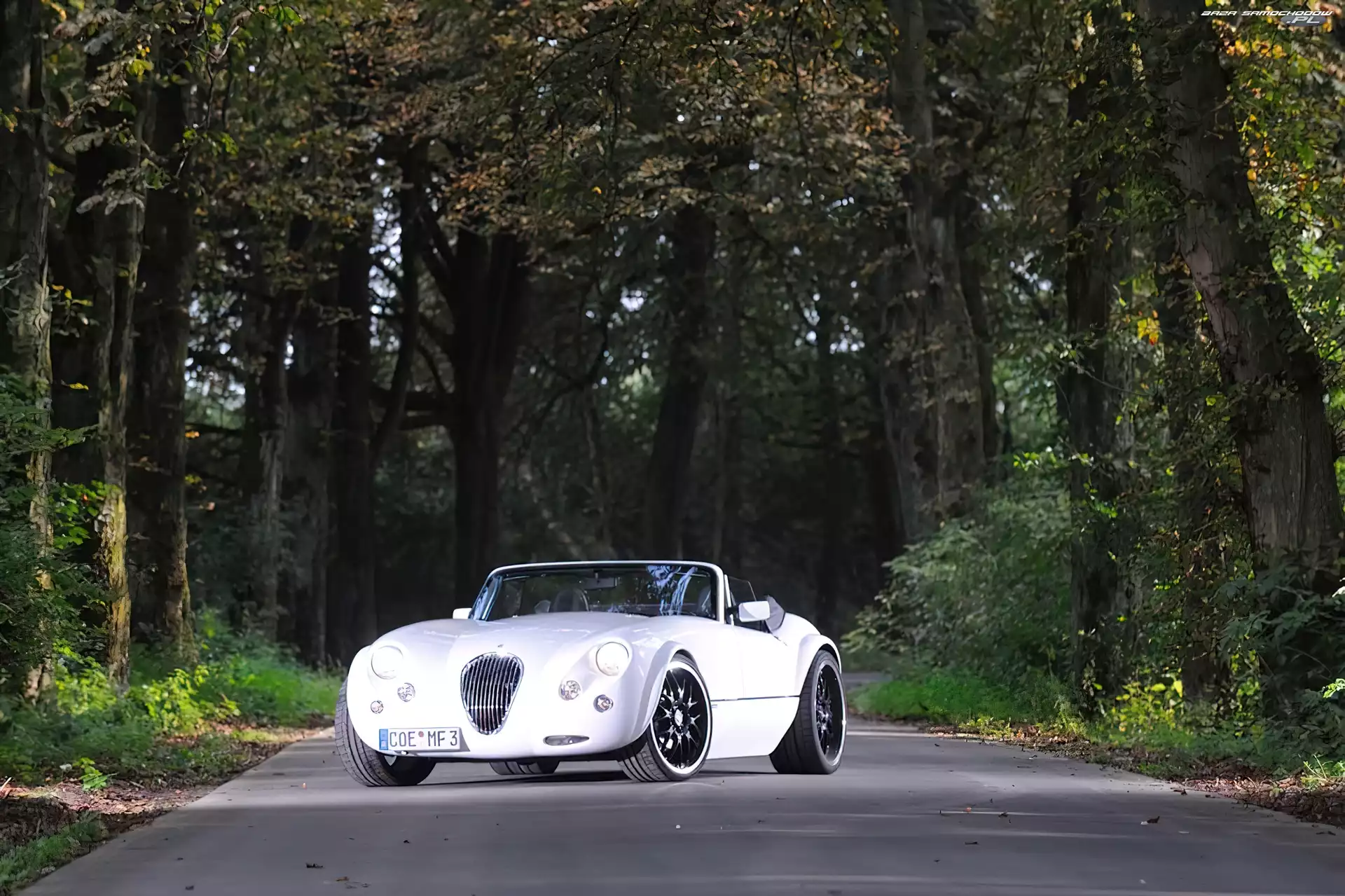 Droga, Biały, Wiesmann MF3
