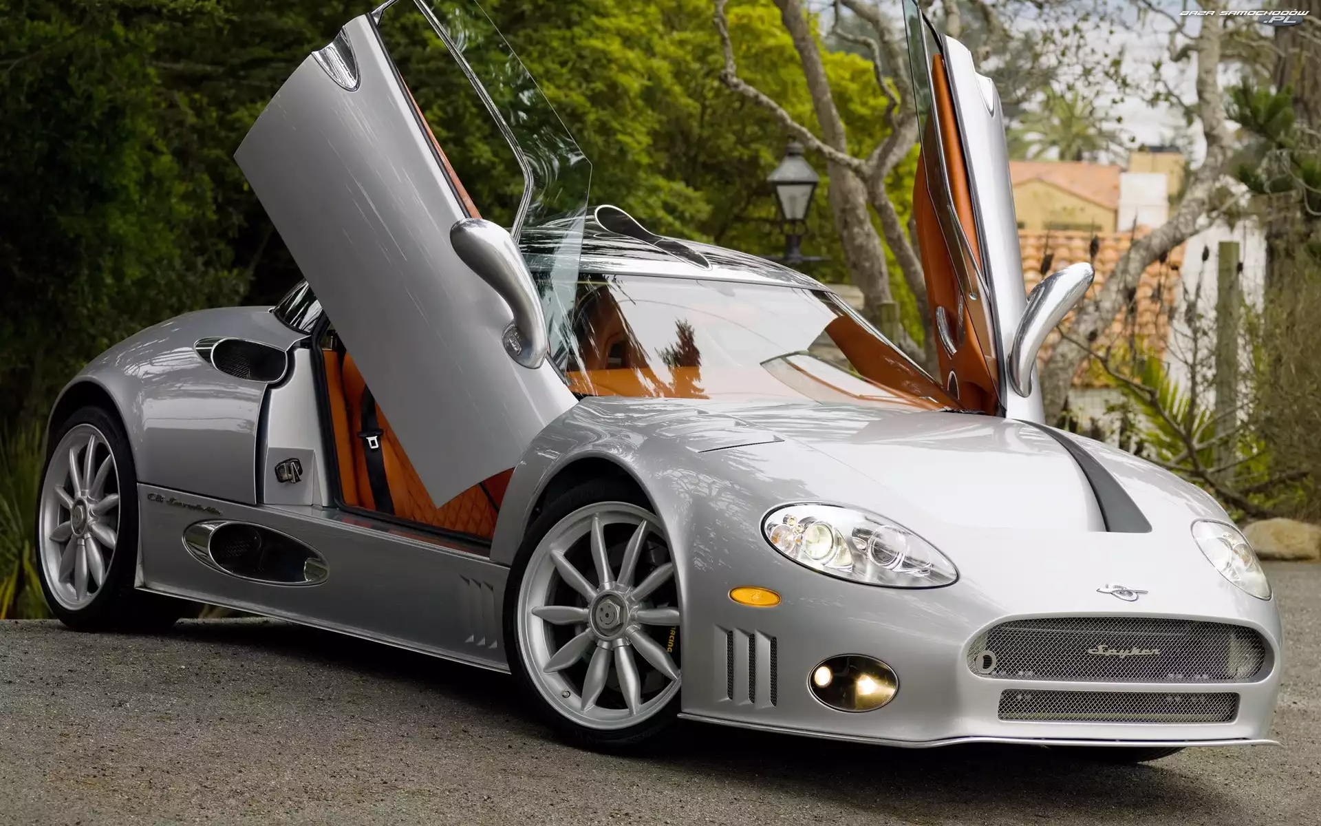 Drzewa, Spyker C8 Aileron, Plac