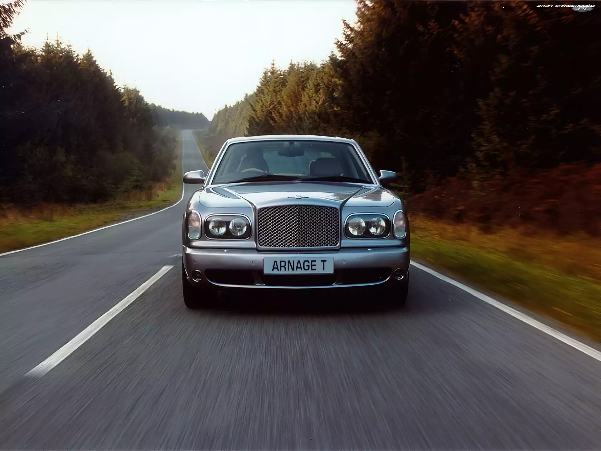 Drzewa, Bentley Arnage, Ulica