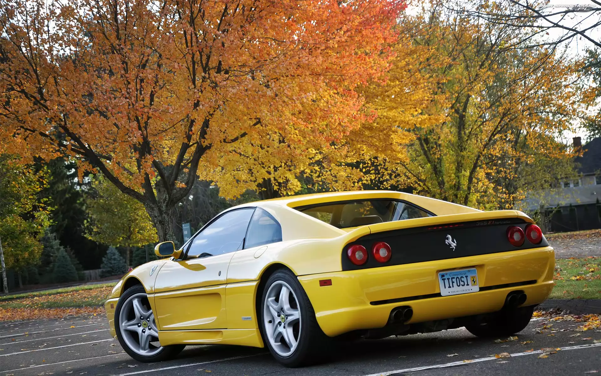 Drzewa, Ferrari 355 F1 Berlinetta, Plac
