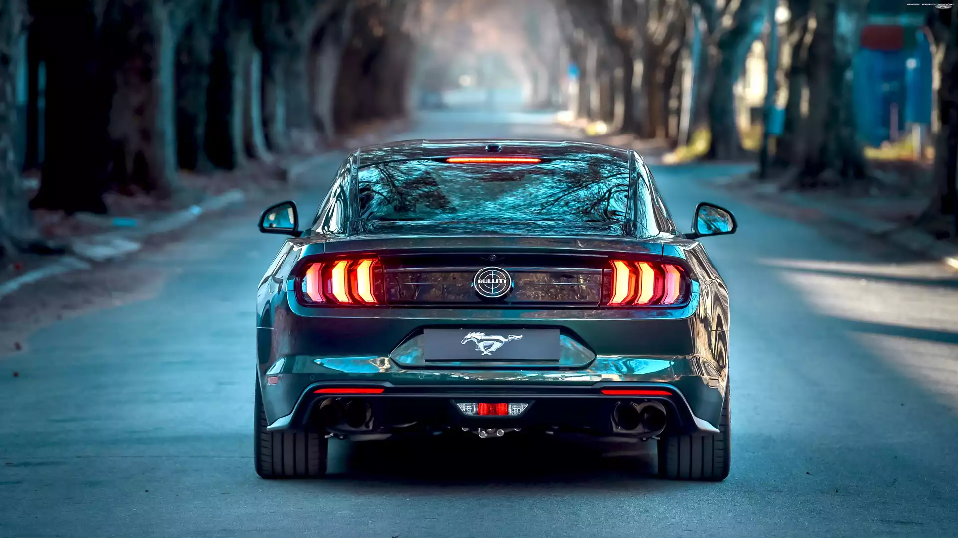 Drzewa, Ford Mustang Bullitt, Droga
