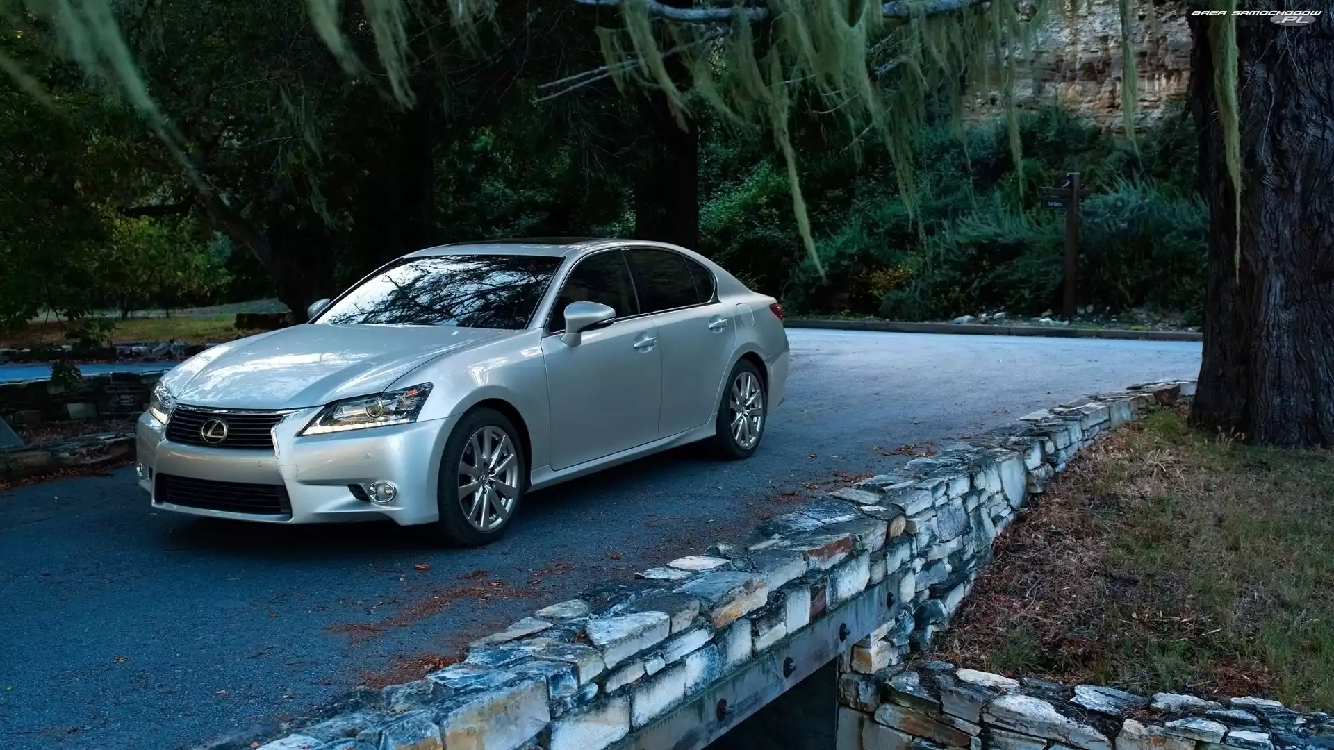 Drzewa, Lexus, GS 350