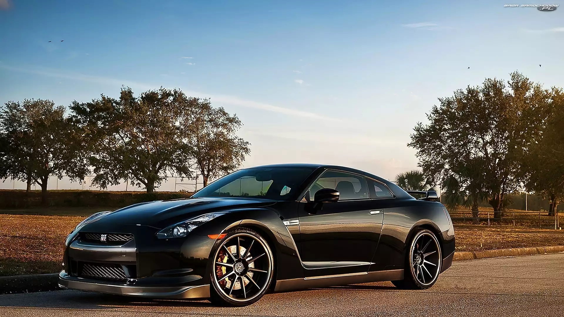Drzewa, Nissan, GT-R