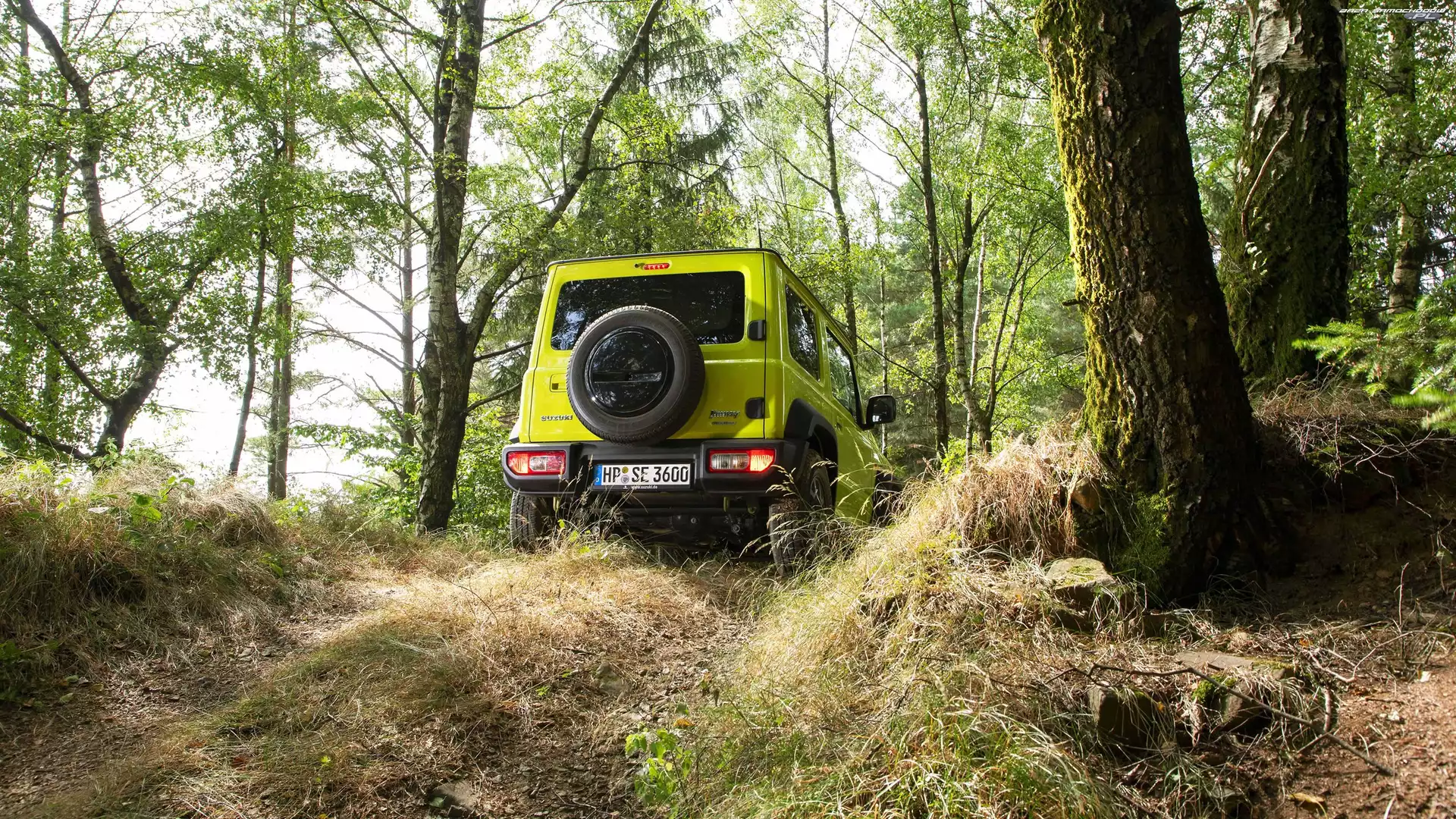 Drzewa, Suzuki Jimny, Tył