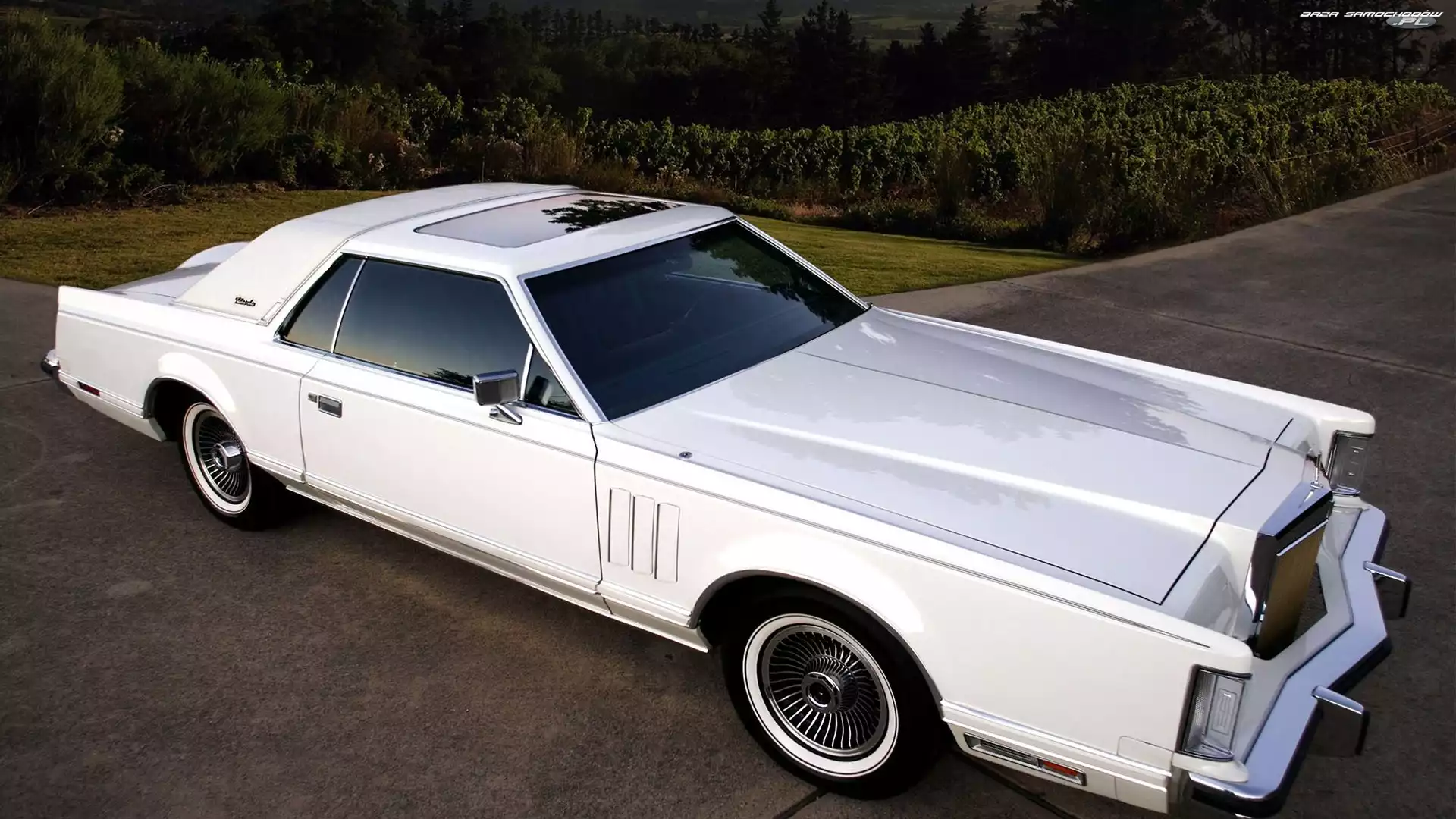 Drzewa, Droga, Continental, Lincoln, Mark V