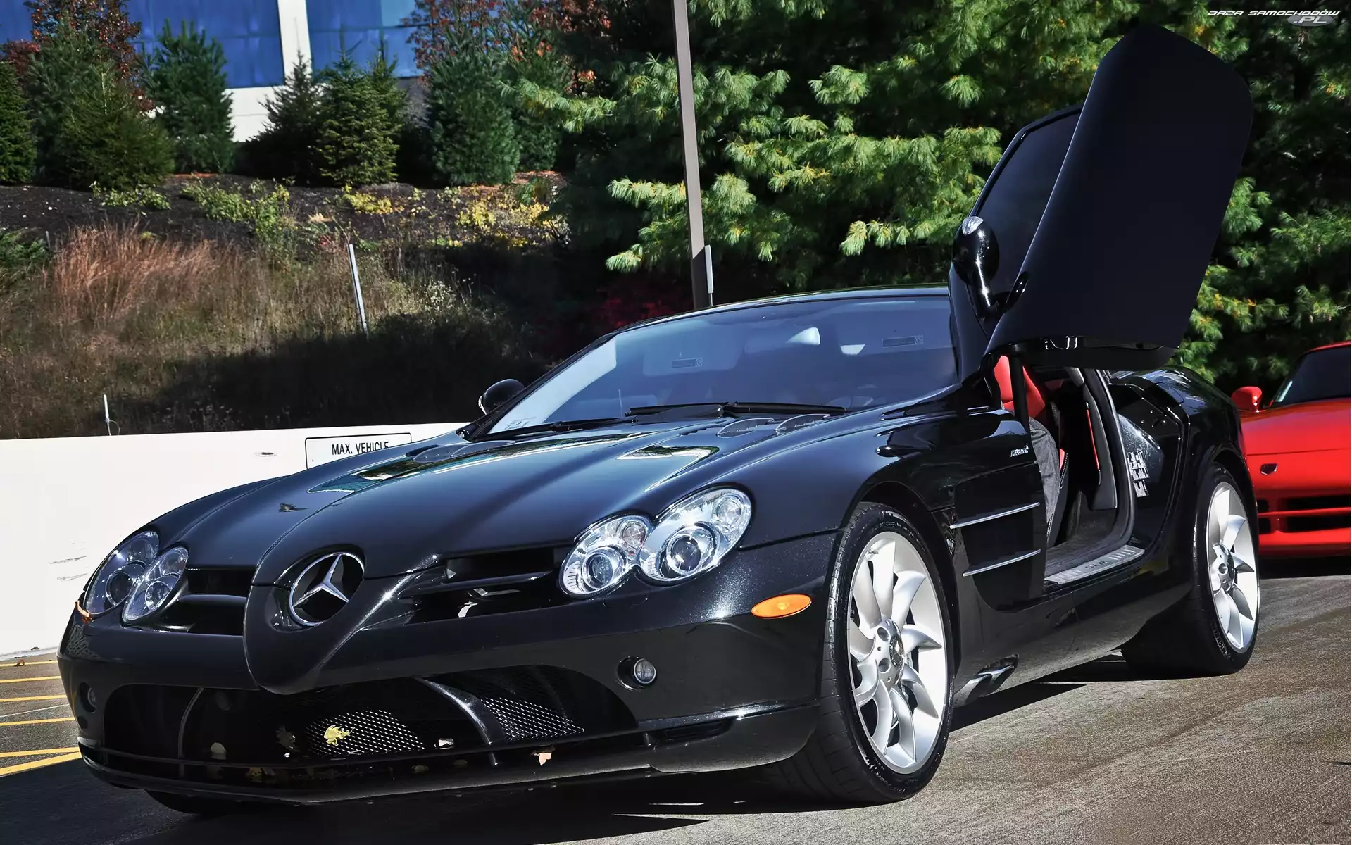 Drzewa, Mercedes Benz SLR McLaren, Ulica