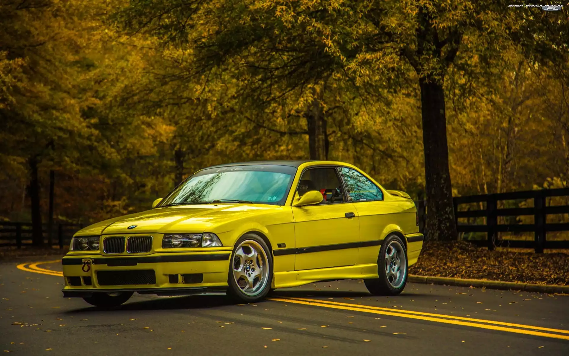 Drzewa, Szosa, BMW, Żółte, E36