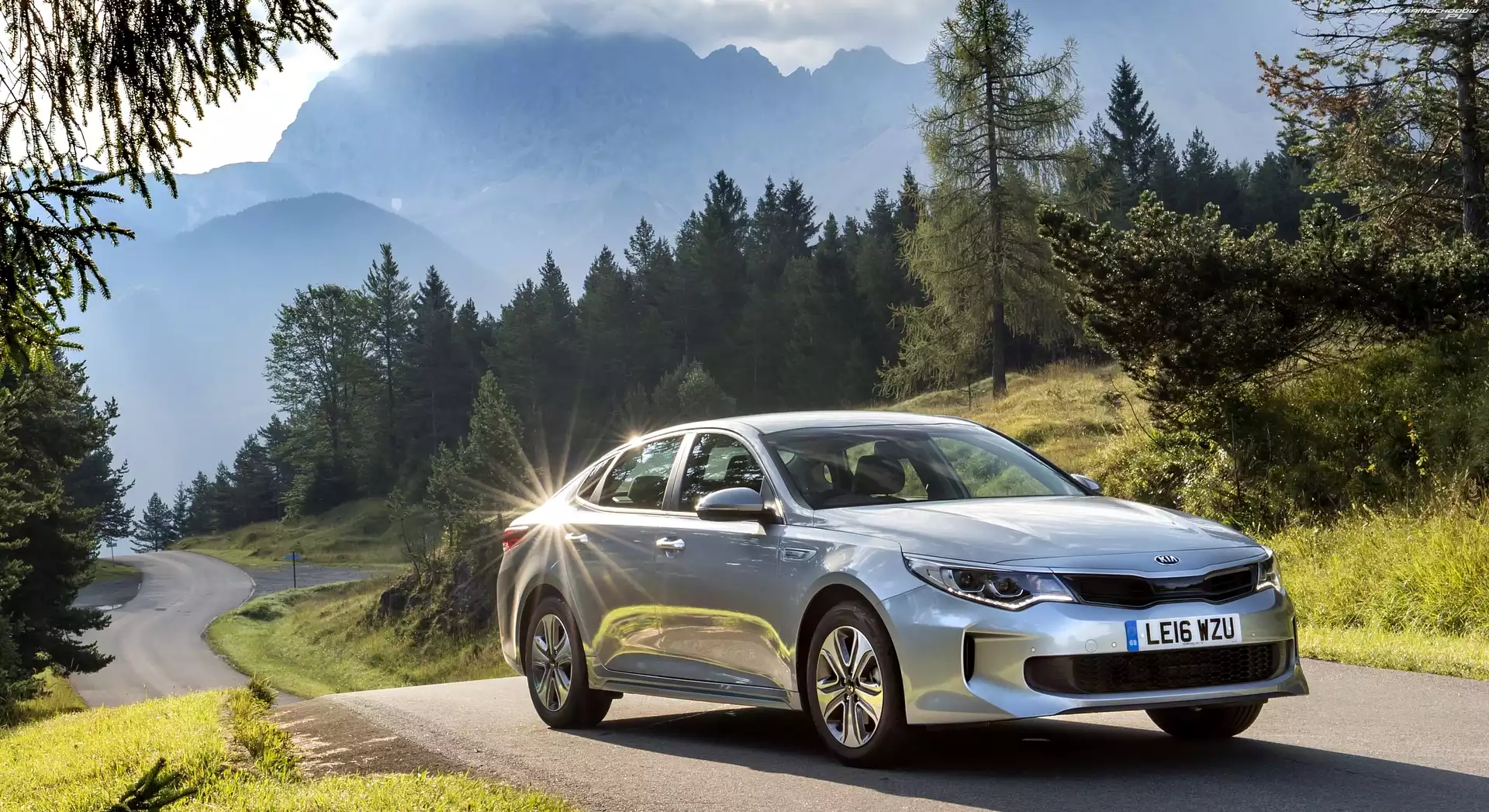 Drzewa, Kia Optima, Droga