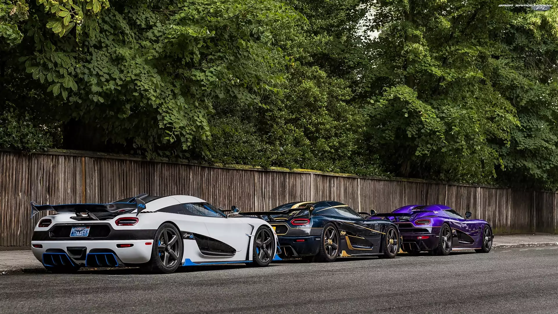 Drzewa, Koenigsegg Agera R, Płot