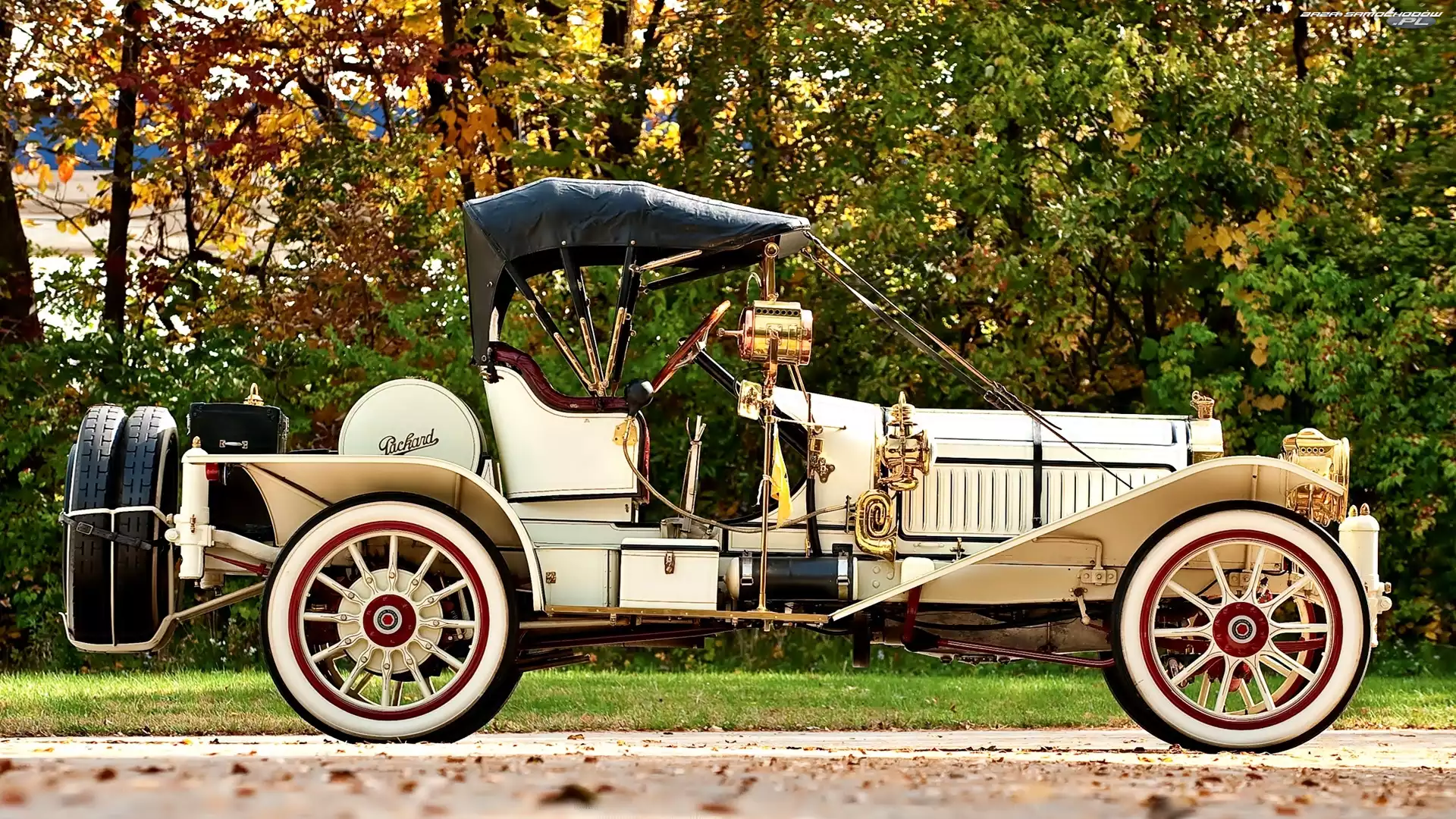 Drzewa, 1912, Zabytkowy, Samochód, Packard
