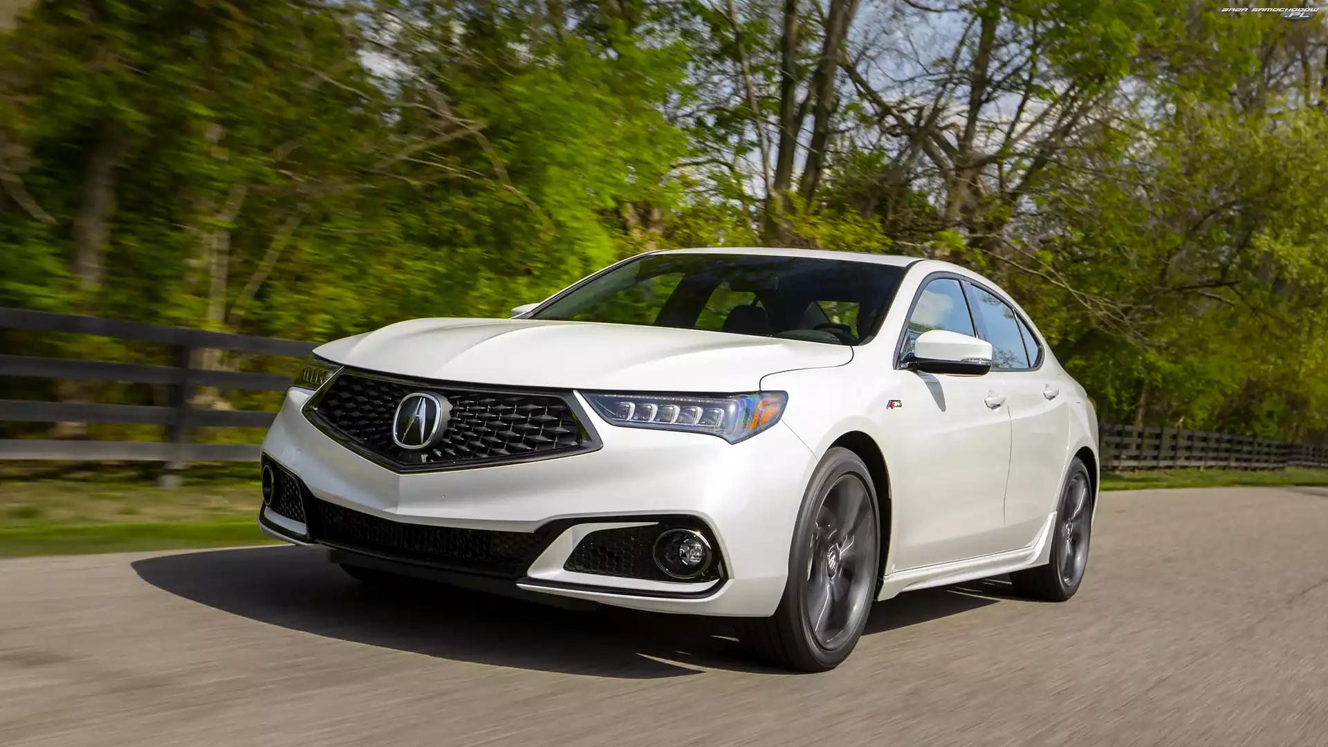 Drzewa, Acura TLX, Droga