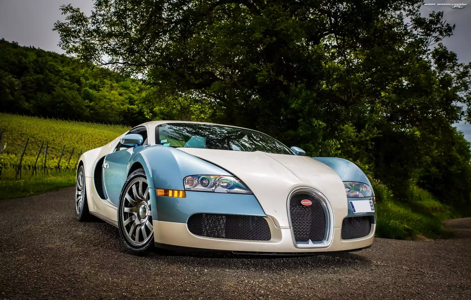 Drzewa, Bugatti Veyron, Droga