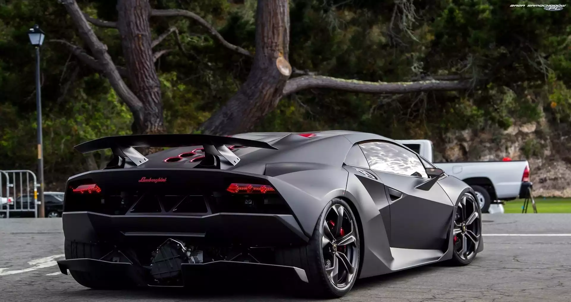Drzewo, Ulica, Lamborghini, Czarne, Sesto Elemento