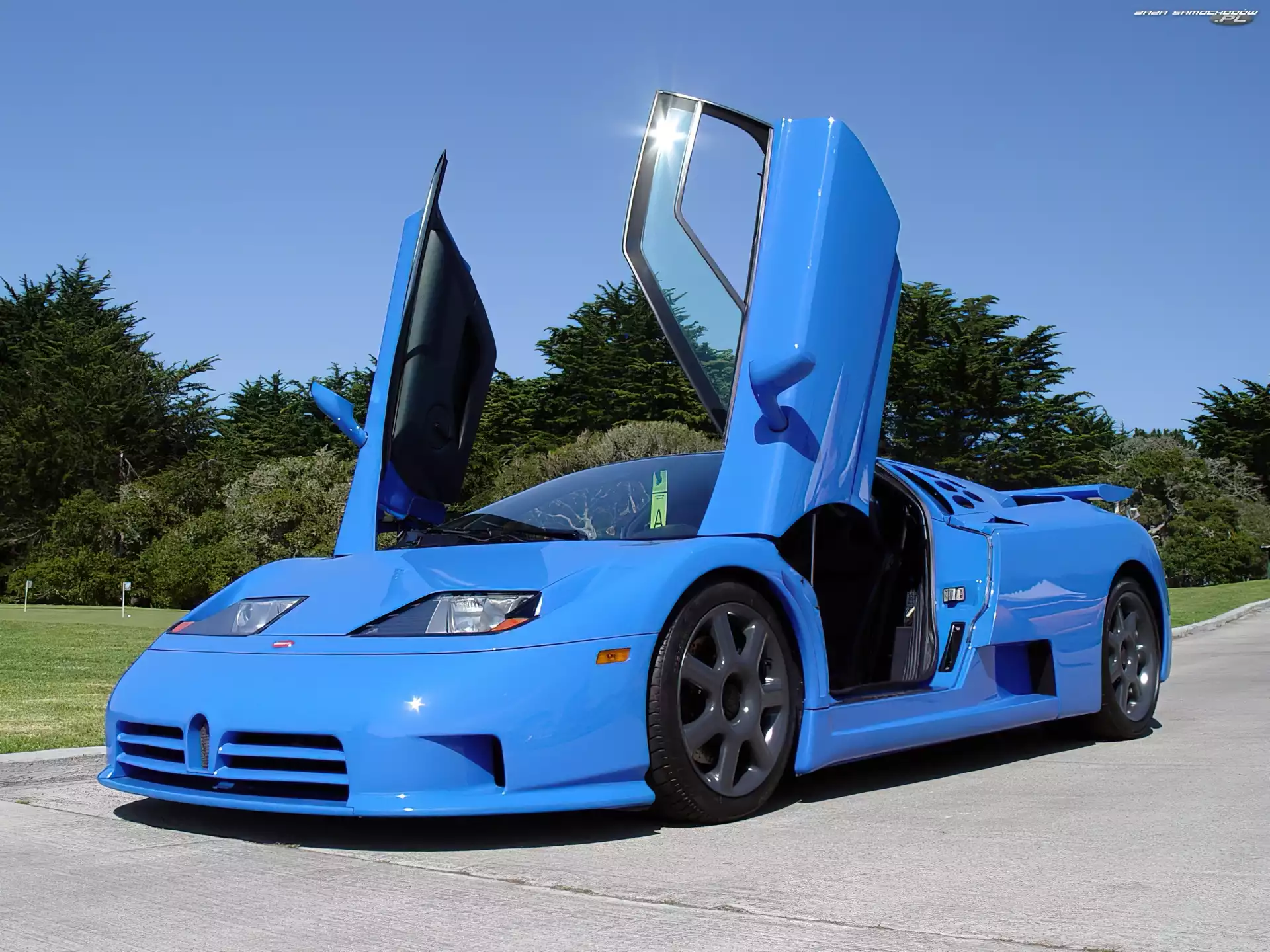 Drzwi, Bugatti EB 110, Uniesione