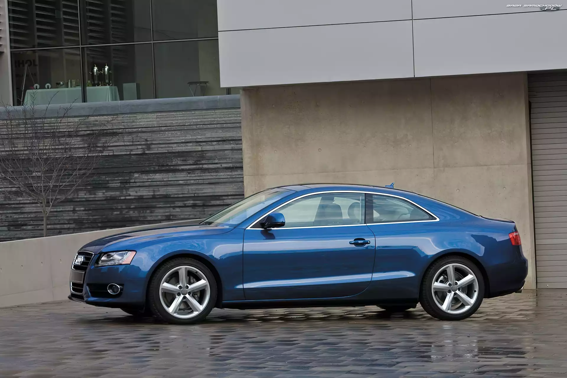 Drzwi, Niebieskie, Audi A5
