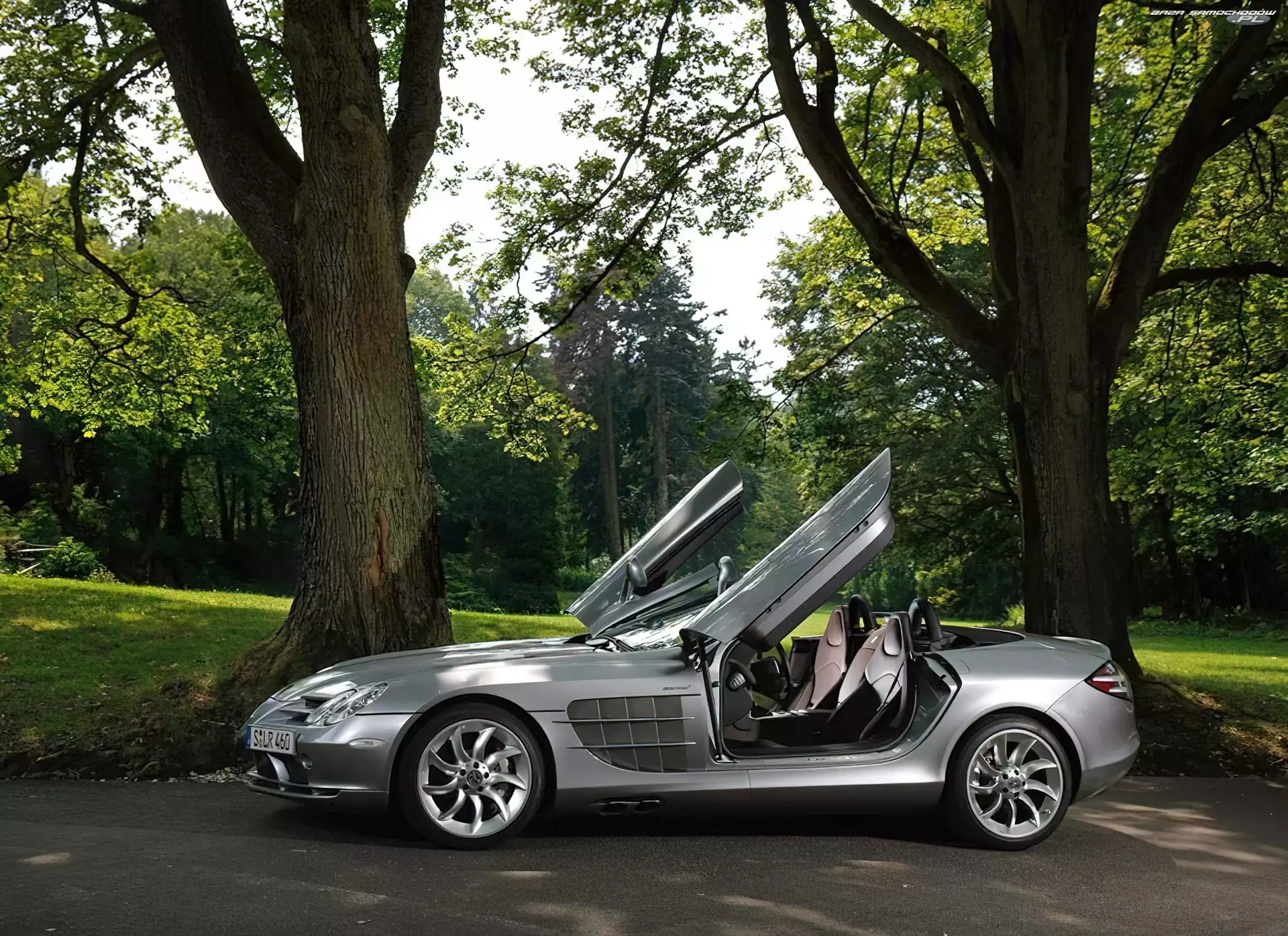 Drzwi, Mercedes SLR, Otwarte