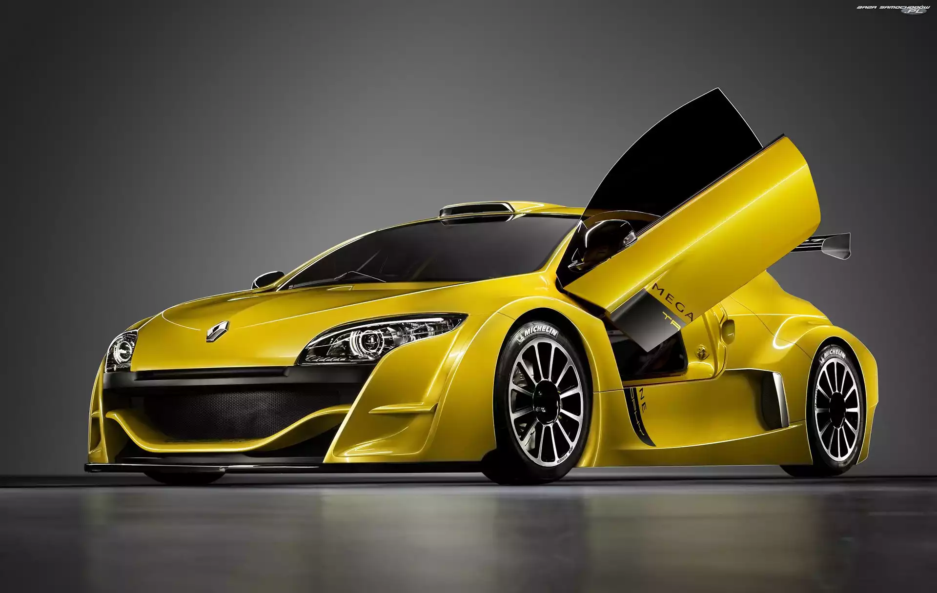 Drzwi, Renault Megane Trophy, Unoszone