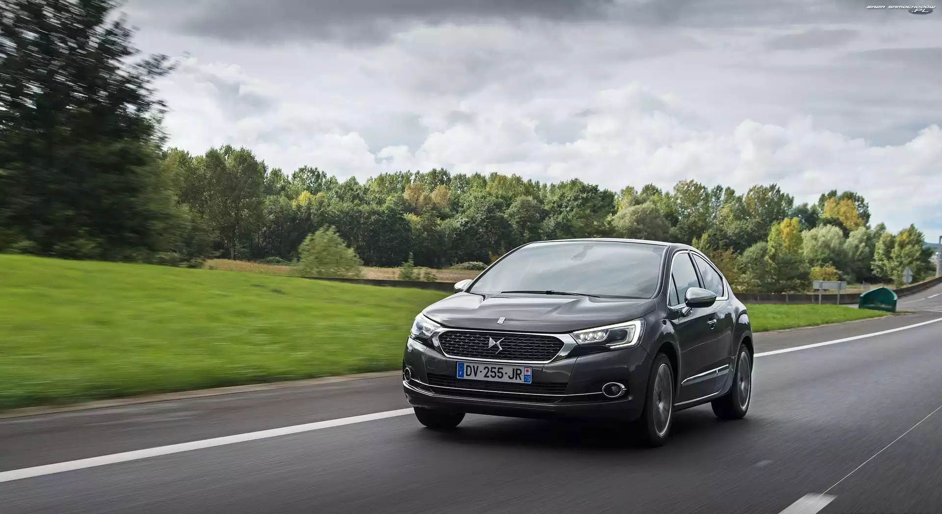 DS4, Drzewa, Citroen, Droga