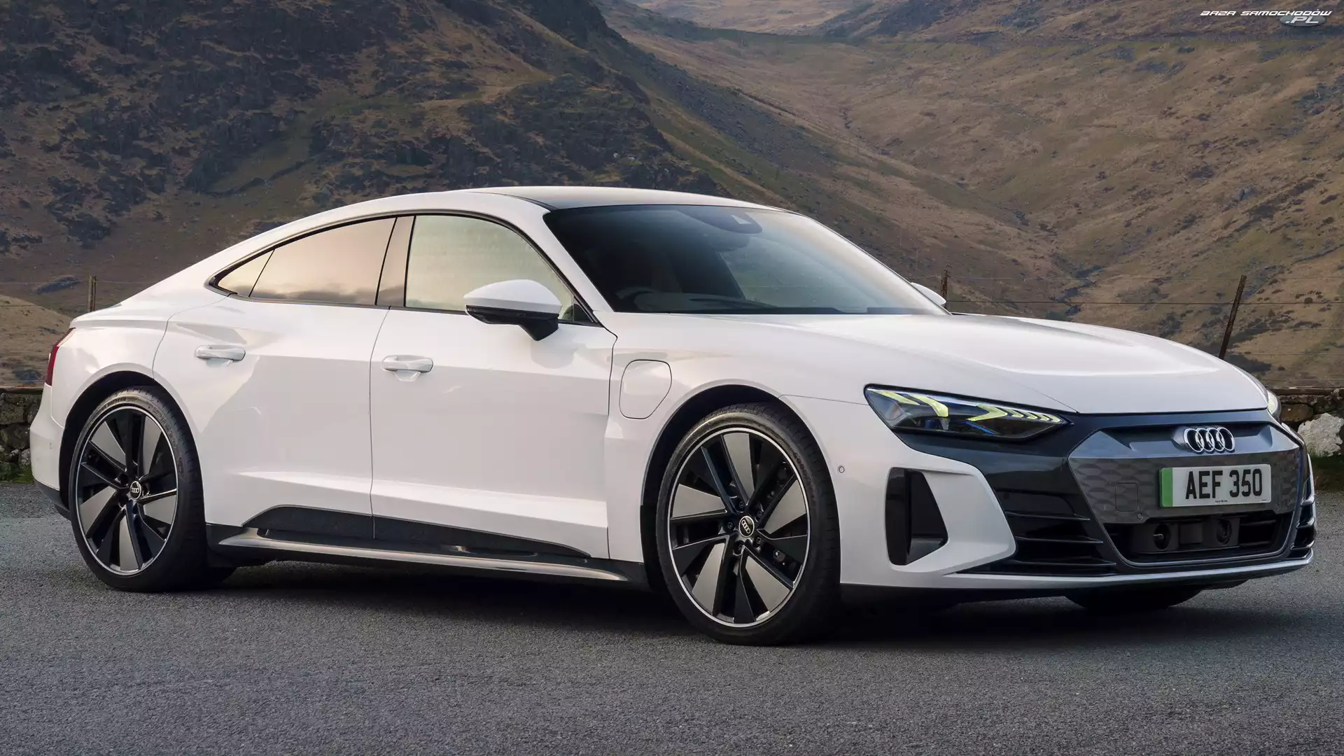 Audi e-Tron GT, Białe