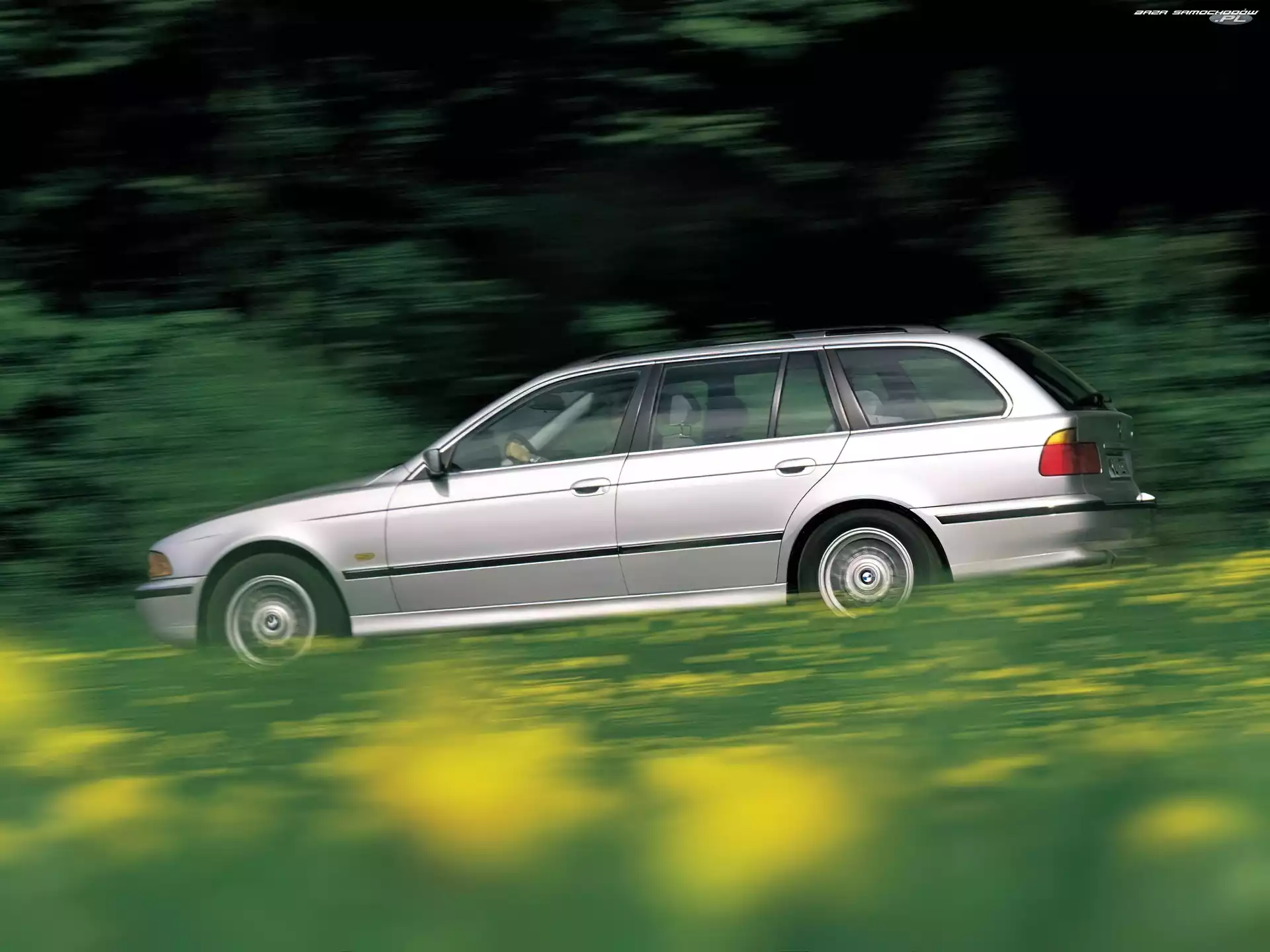 Kombi, E39