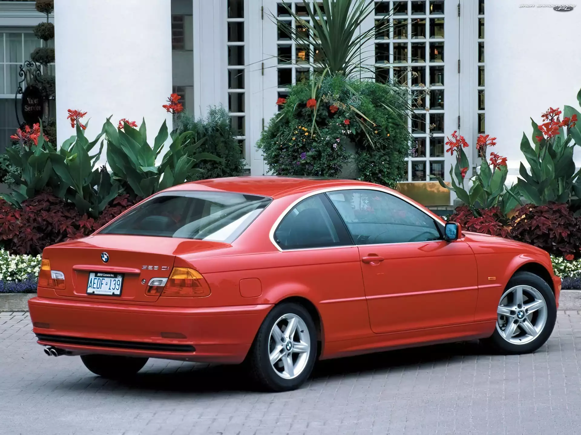 E46, Czerwone, BMW 3