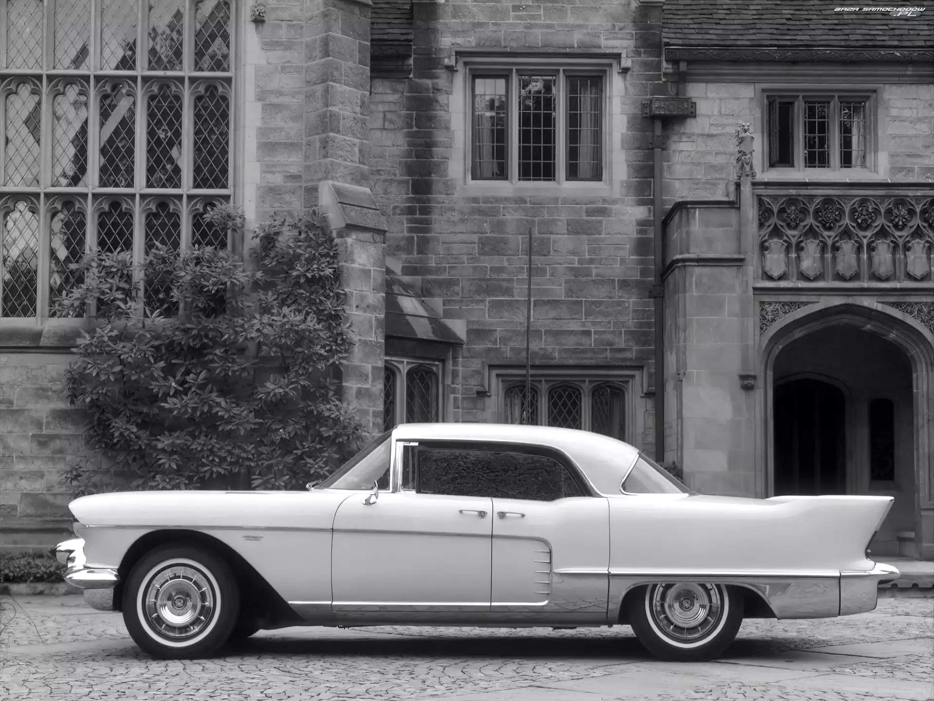 Cadillac Eldorado, Skrzydła