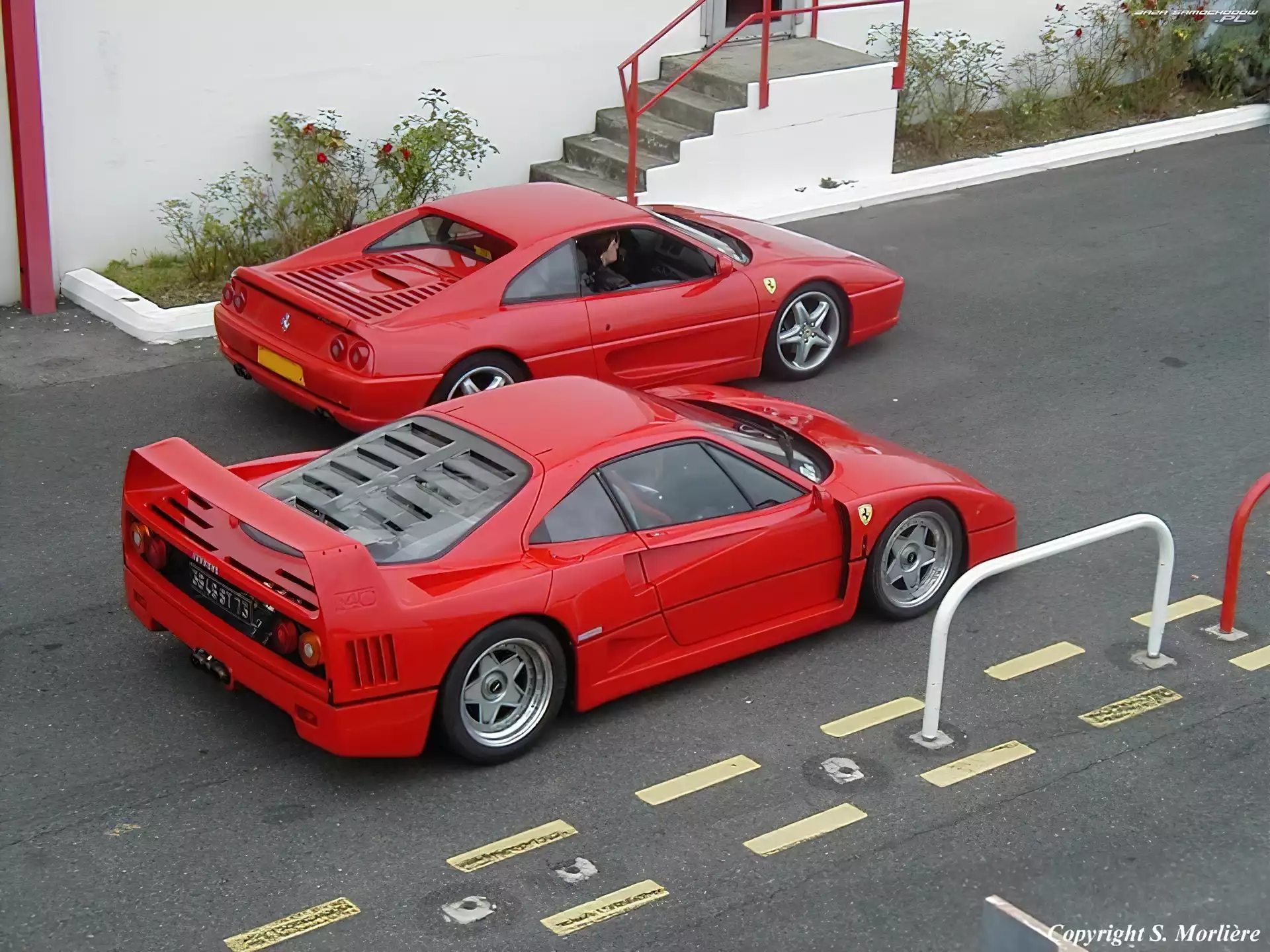 F355, Ferrari F 40, vs