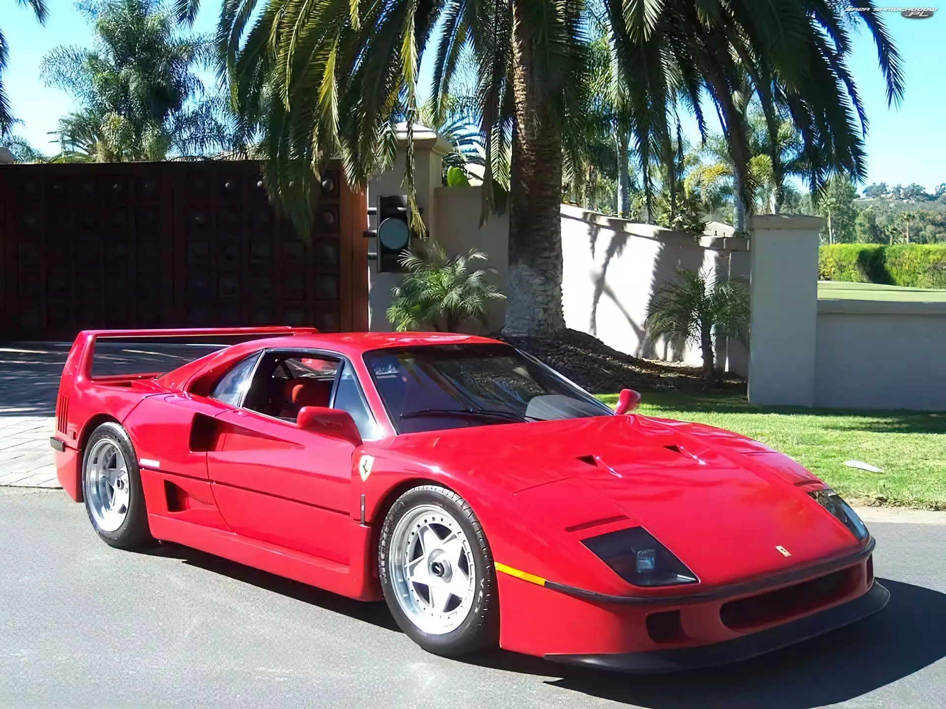 Palma, Ferrari F40