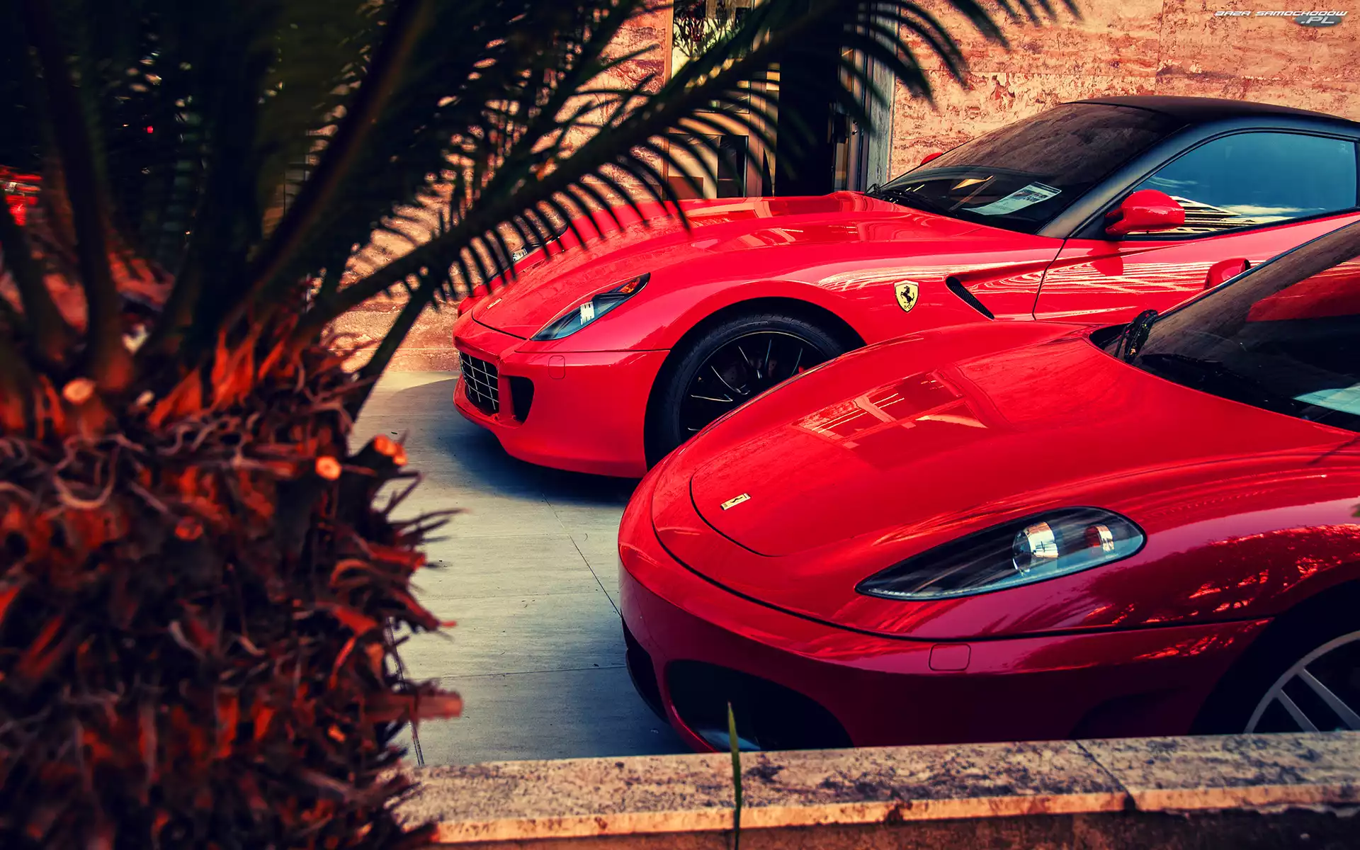 Ferrari f430, Ferrari 590, samochody, Dwa, Czerwone