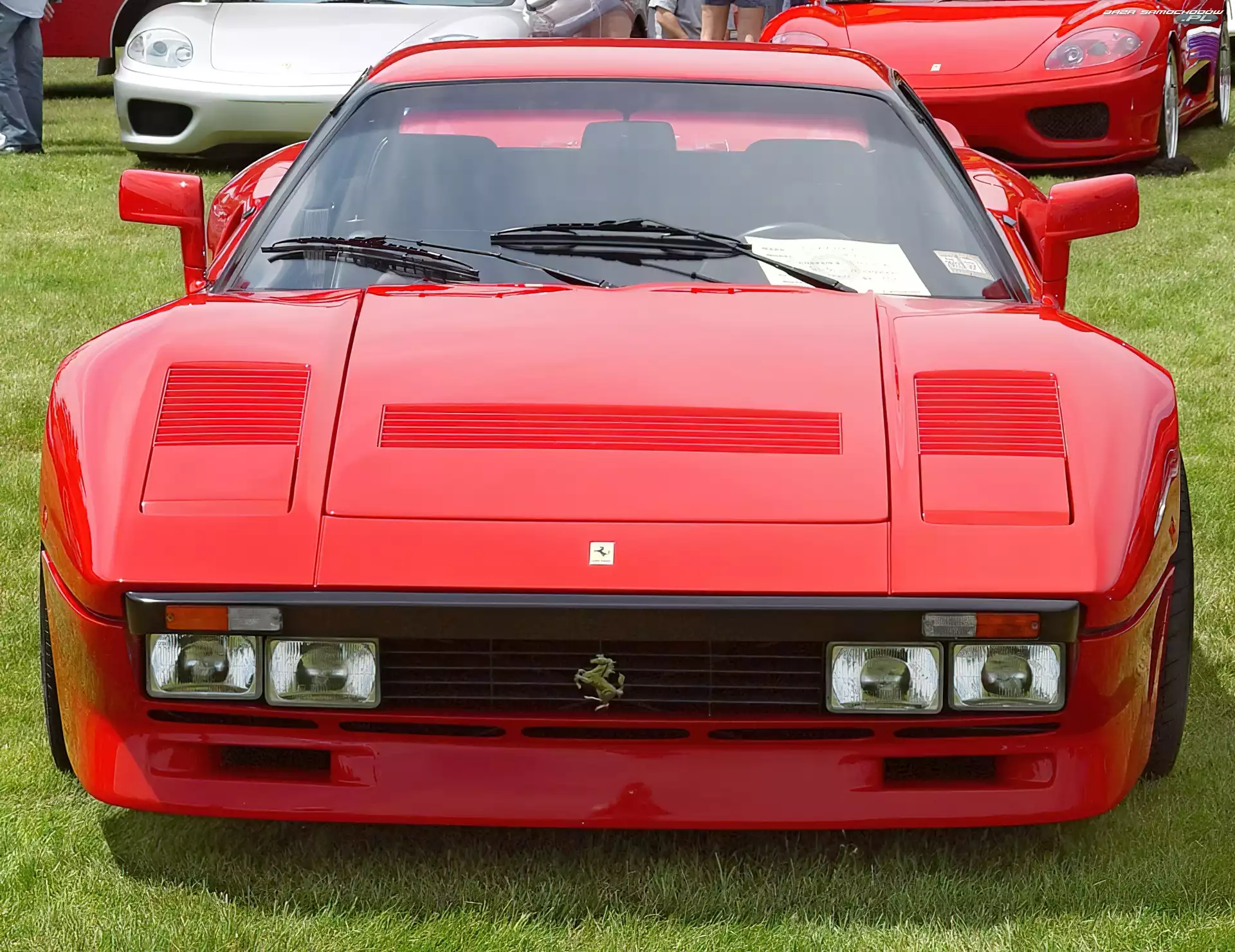 Ferrari 288 GTO, Emblemat, Maska