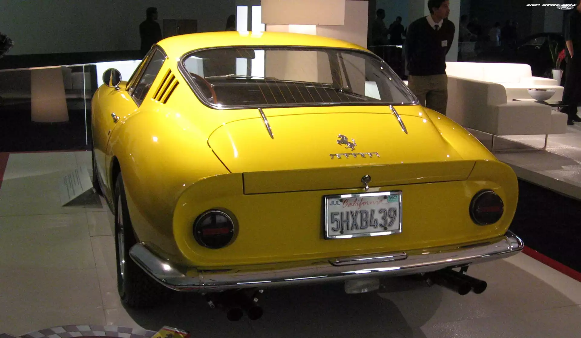 Ferrari 275, Wydechowe, Tył, Rury