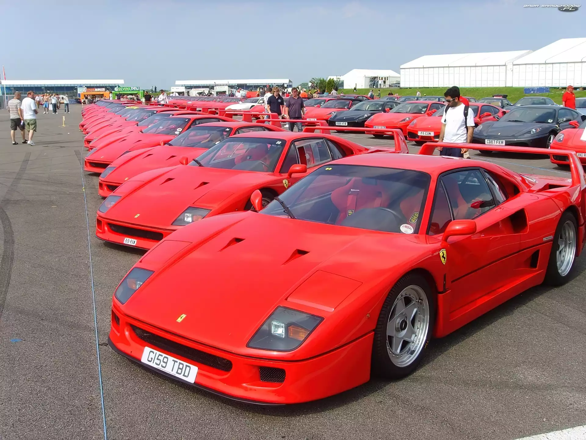 Ferrari F 40, Zlot, Posiadaczy