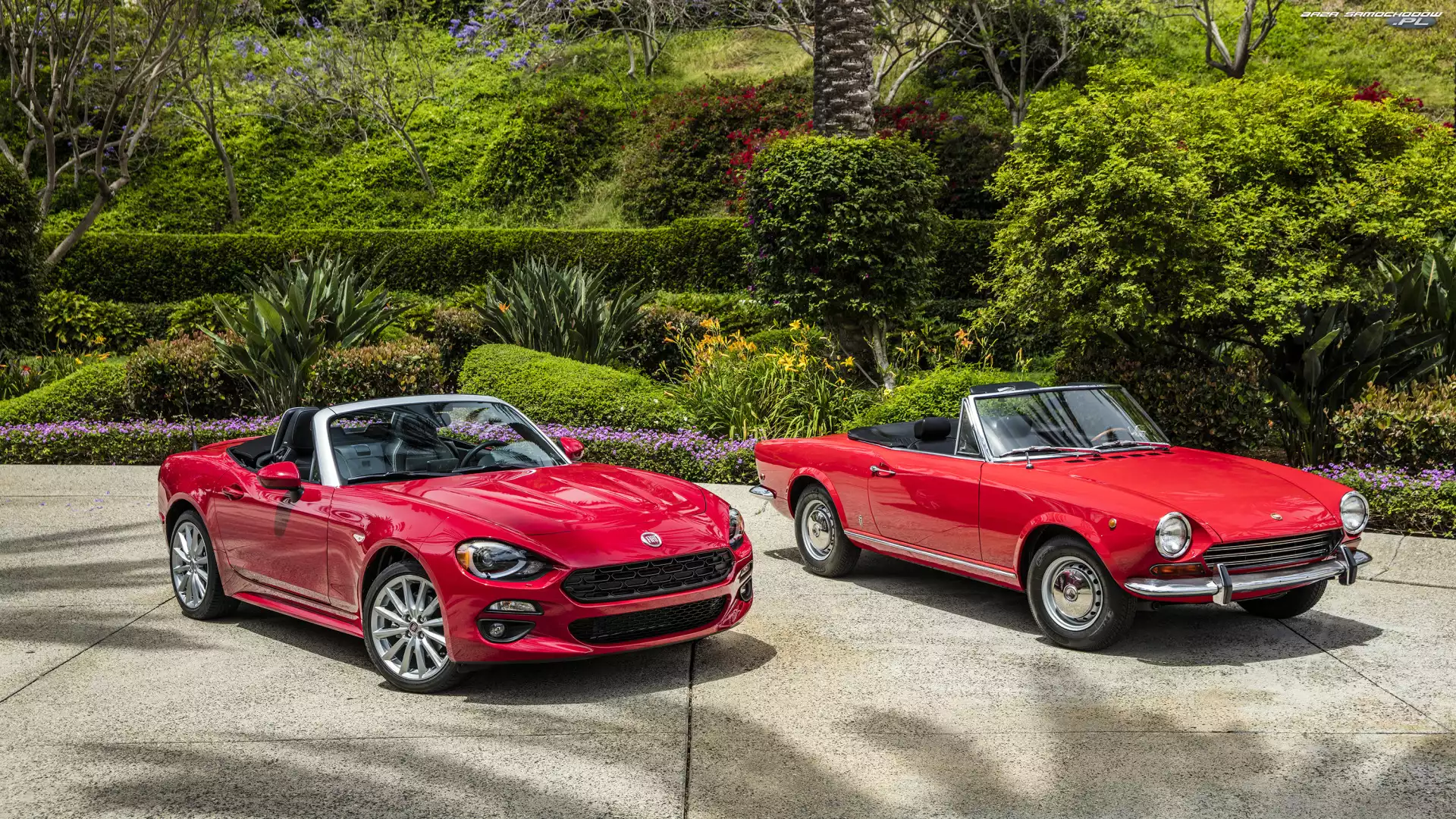 Fiat 124 Spider, Czerwone, Samochody
