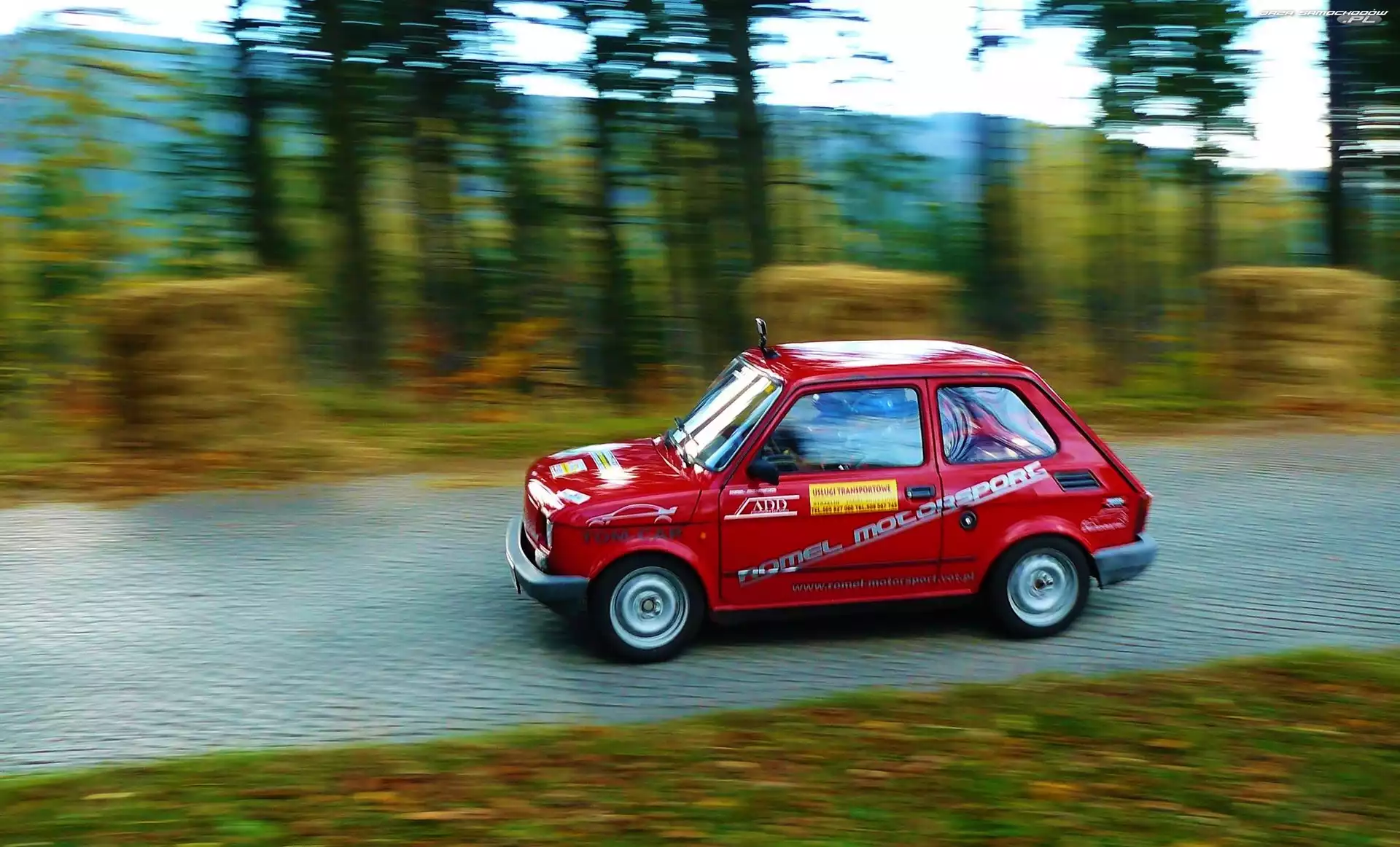 Jazda, Fiat, Czerwony