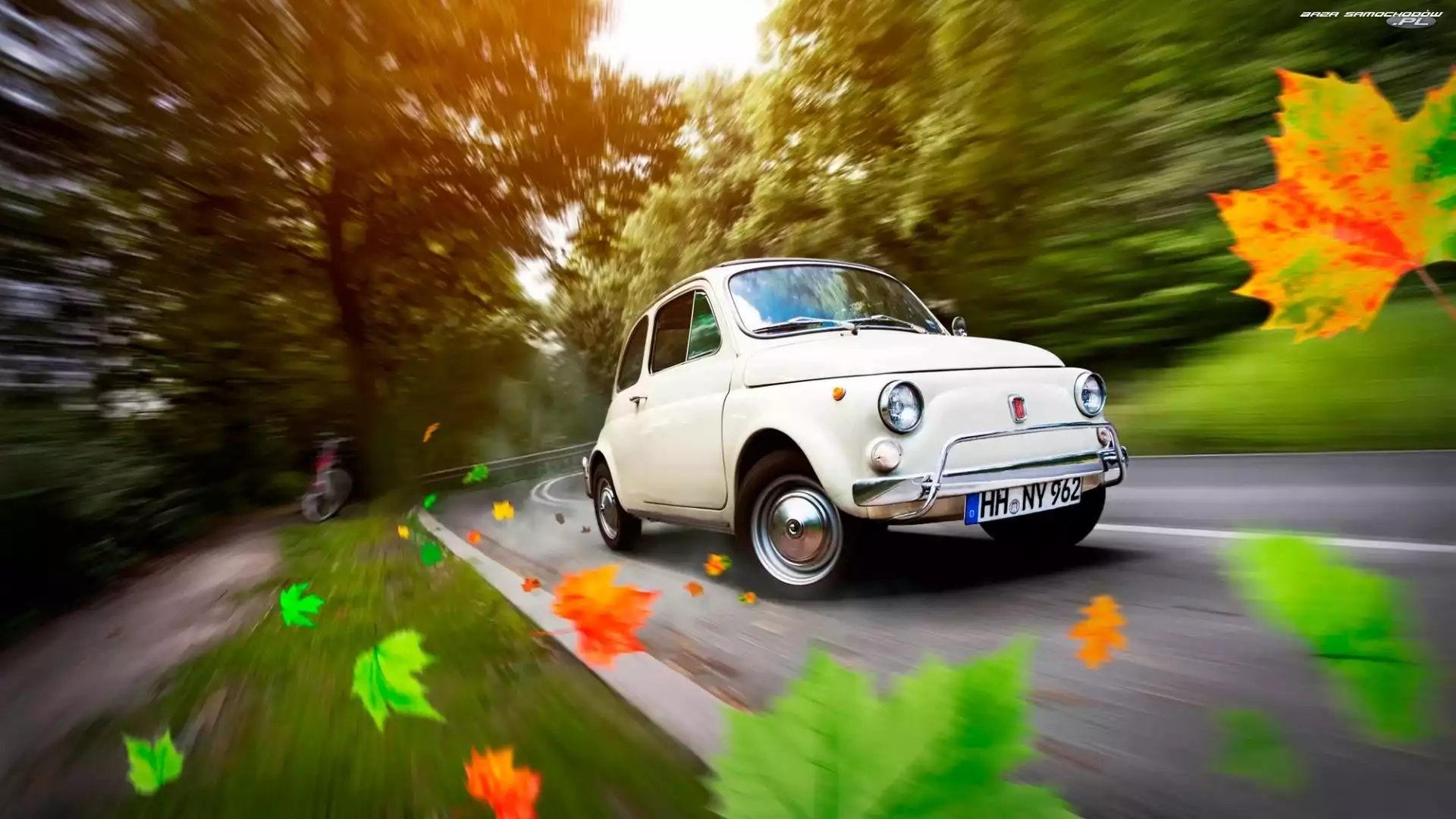 Jesień, Fiat, Biały, Droga, Liście, Samochód, 500