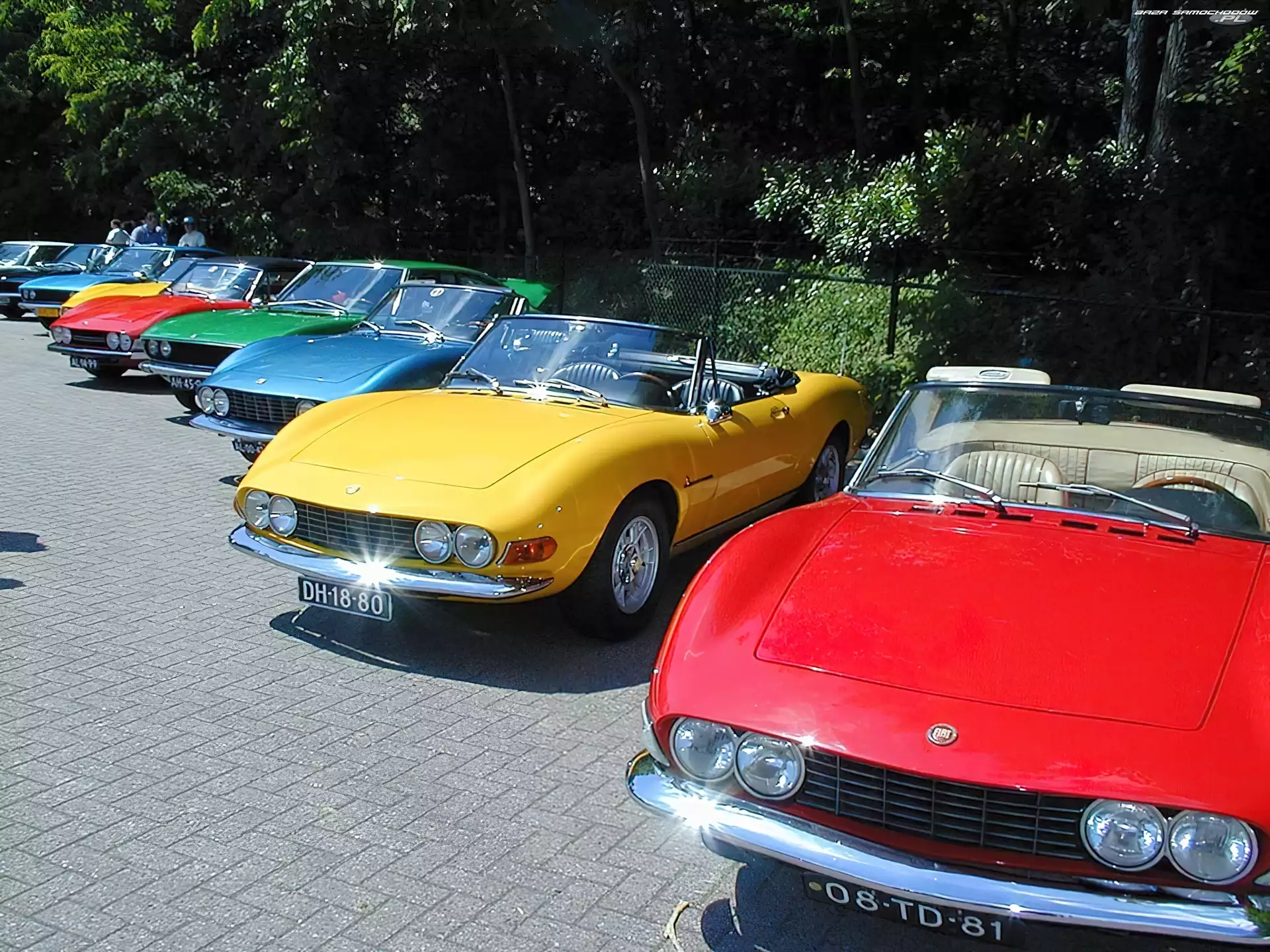 Fiat Dino, Zlot, Miłośników
