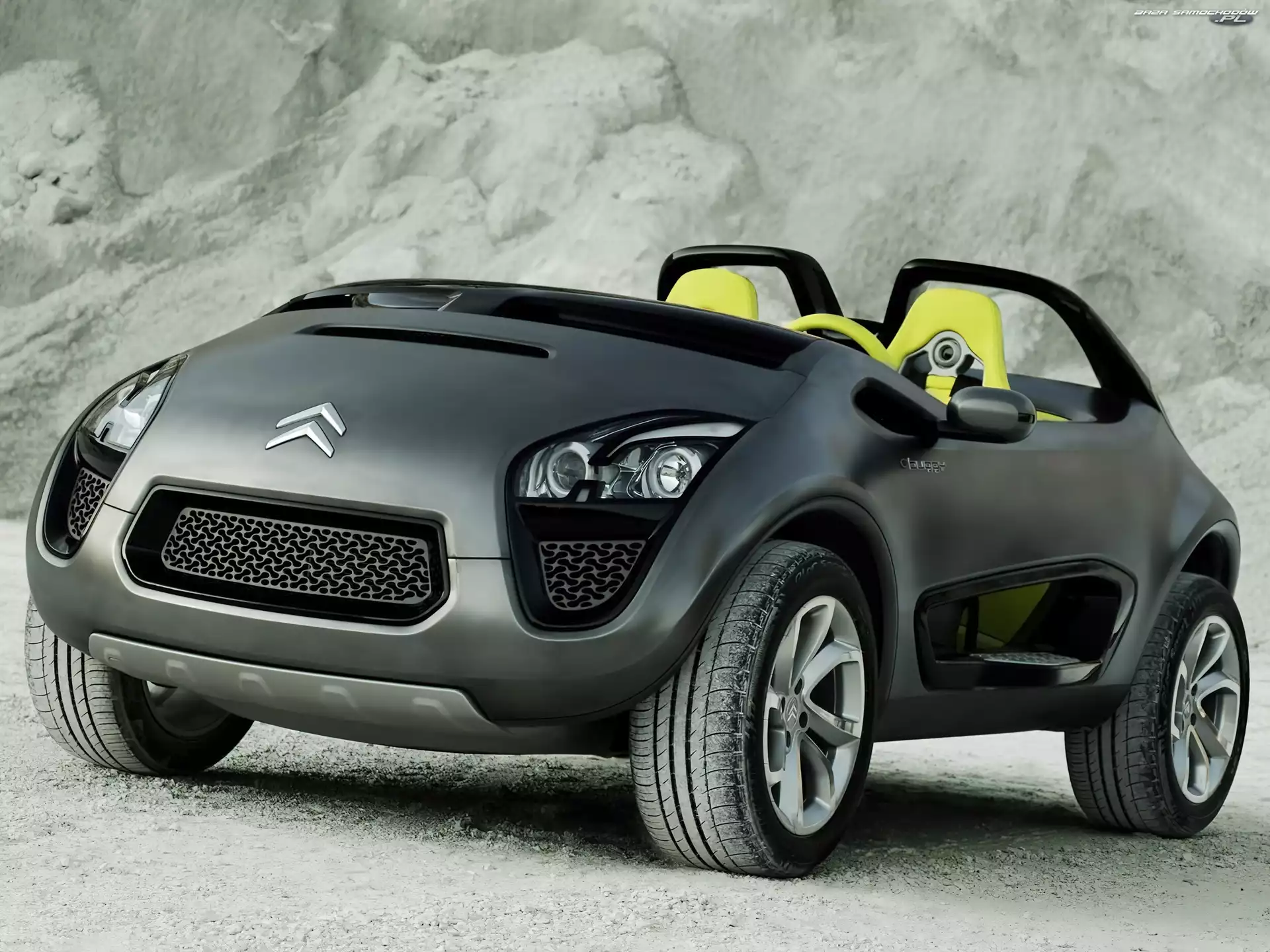 Firmowy, Citroen C-Buggy, Emblemat