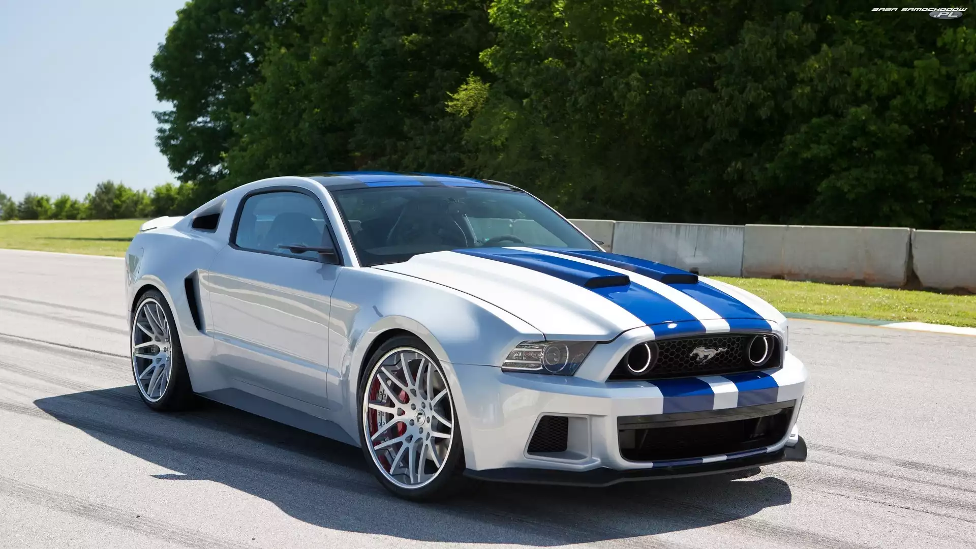 Need for Speed, Shelby, Film, Ford Mustang GT