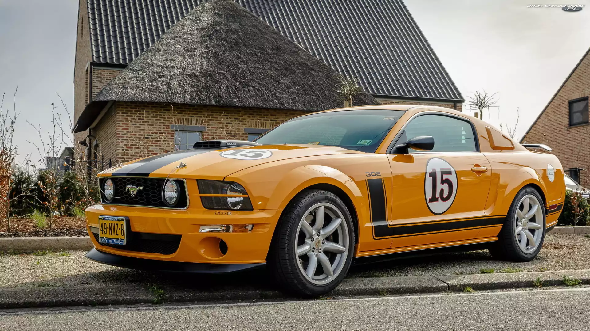 Ford Mustang 302, Saleen