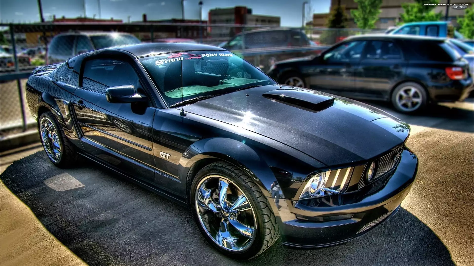 Ford Mustang GT 500, Chrom