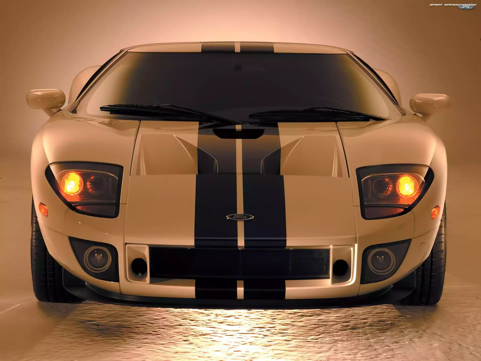 Biały, Ford GT