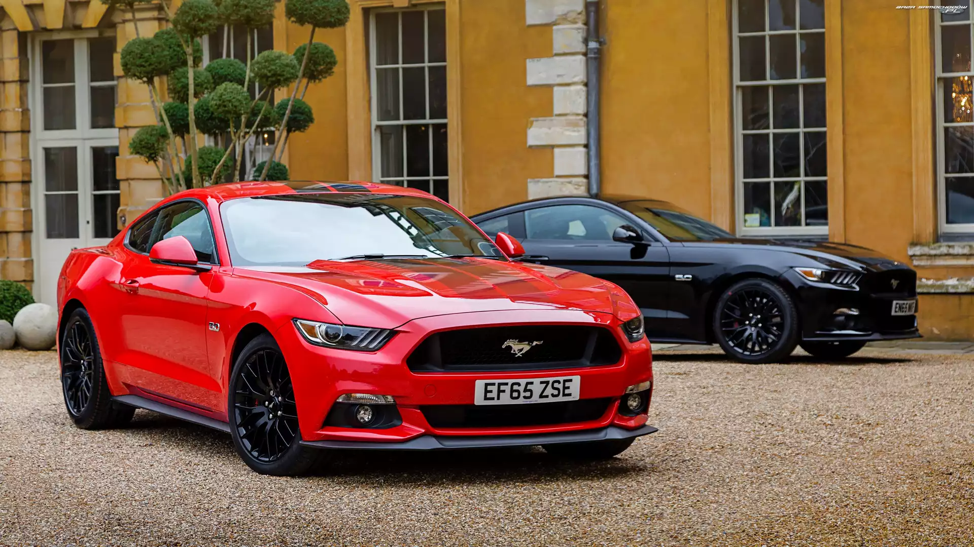 Ford Mustang, Czerwony, Czarny