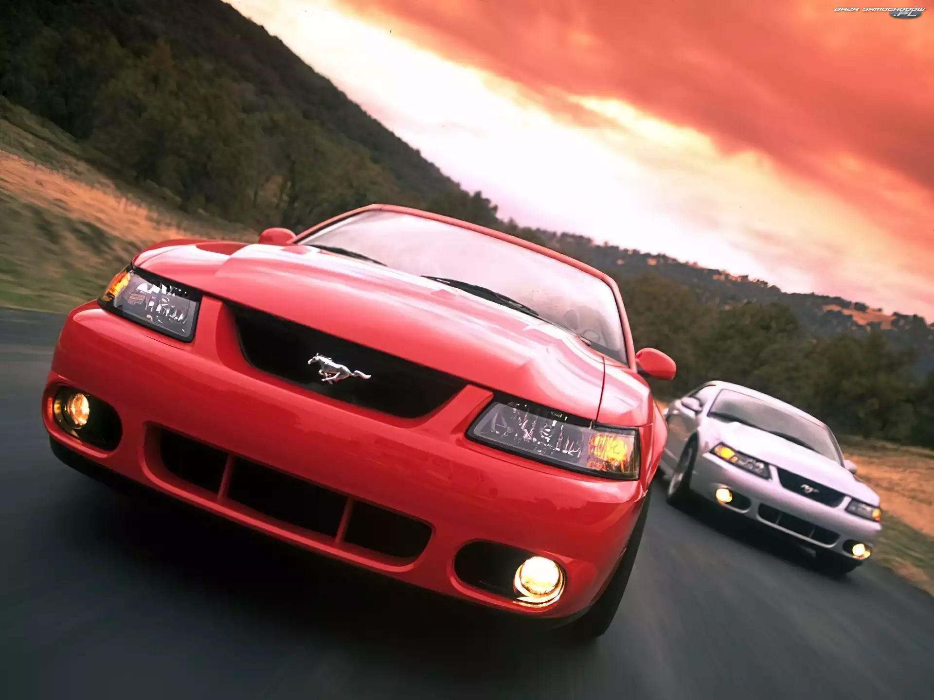 Ford Mustang, Czerwony