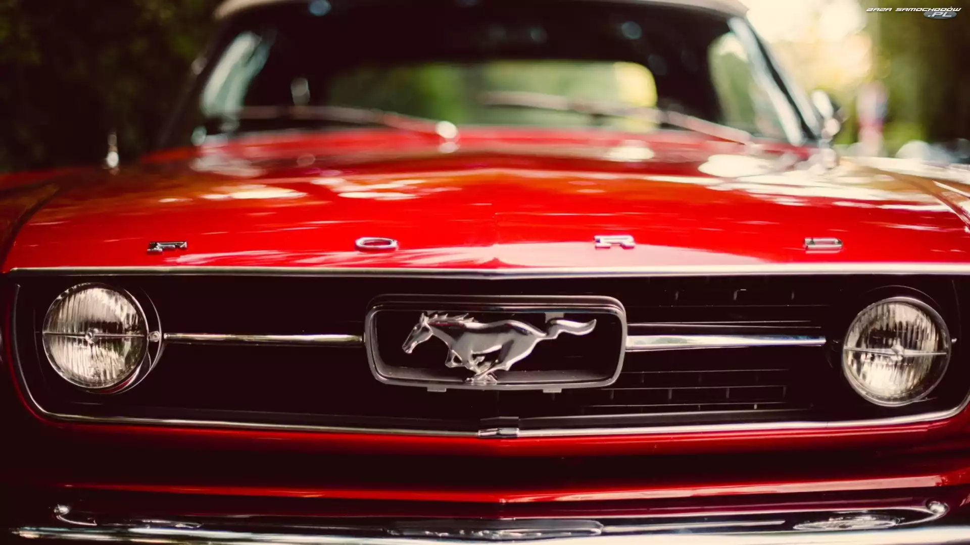 Ford, Rozmycie, Czerwony, Mustang
